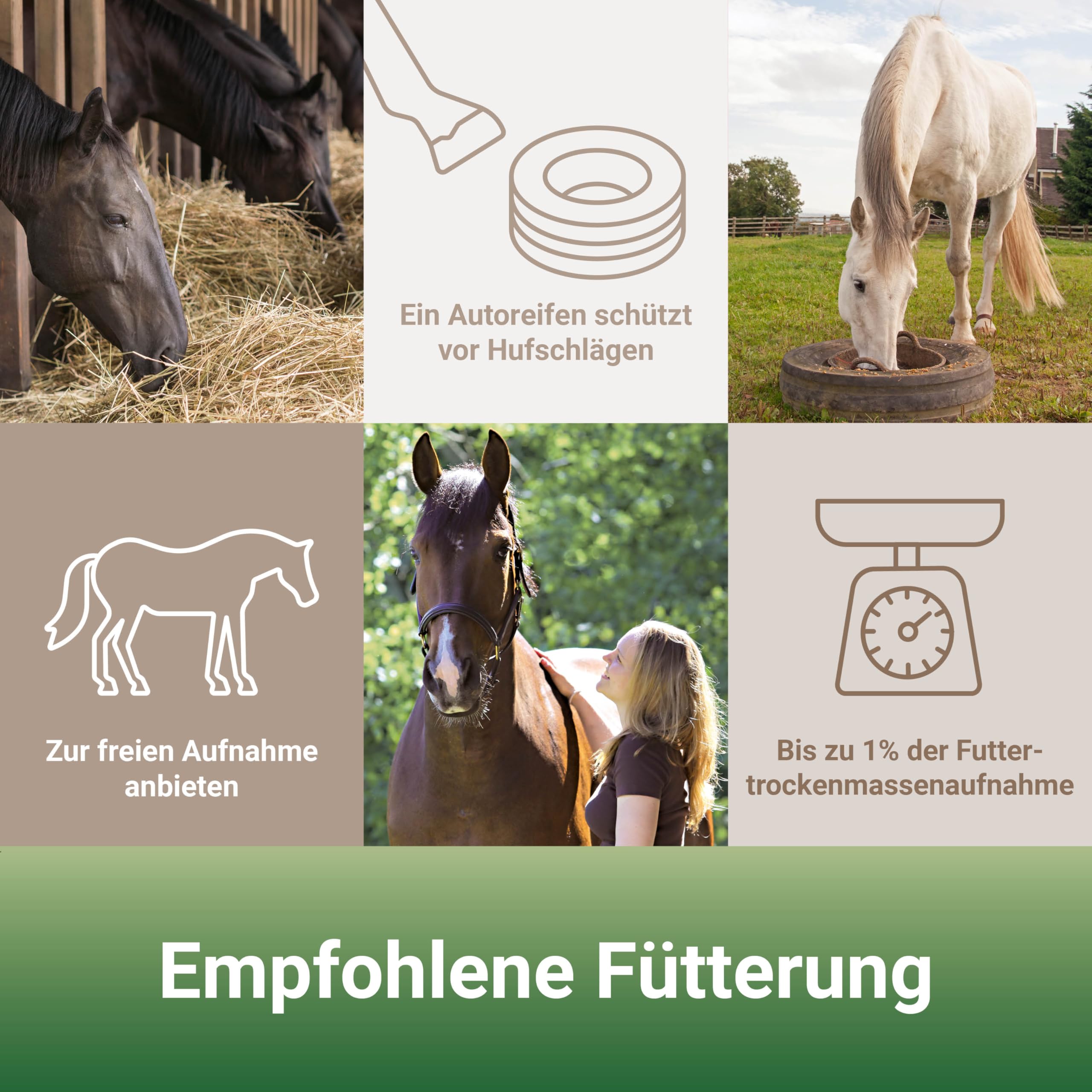 PANTO Rundum-Set Pferd – Formel A, Mineralleckschale & Leckerli | Komplettset aus Allroundpellet, Mineralleckschale mit Spurenelementen & Leckerli – Rundumversorgung für Pferde