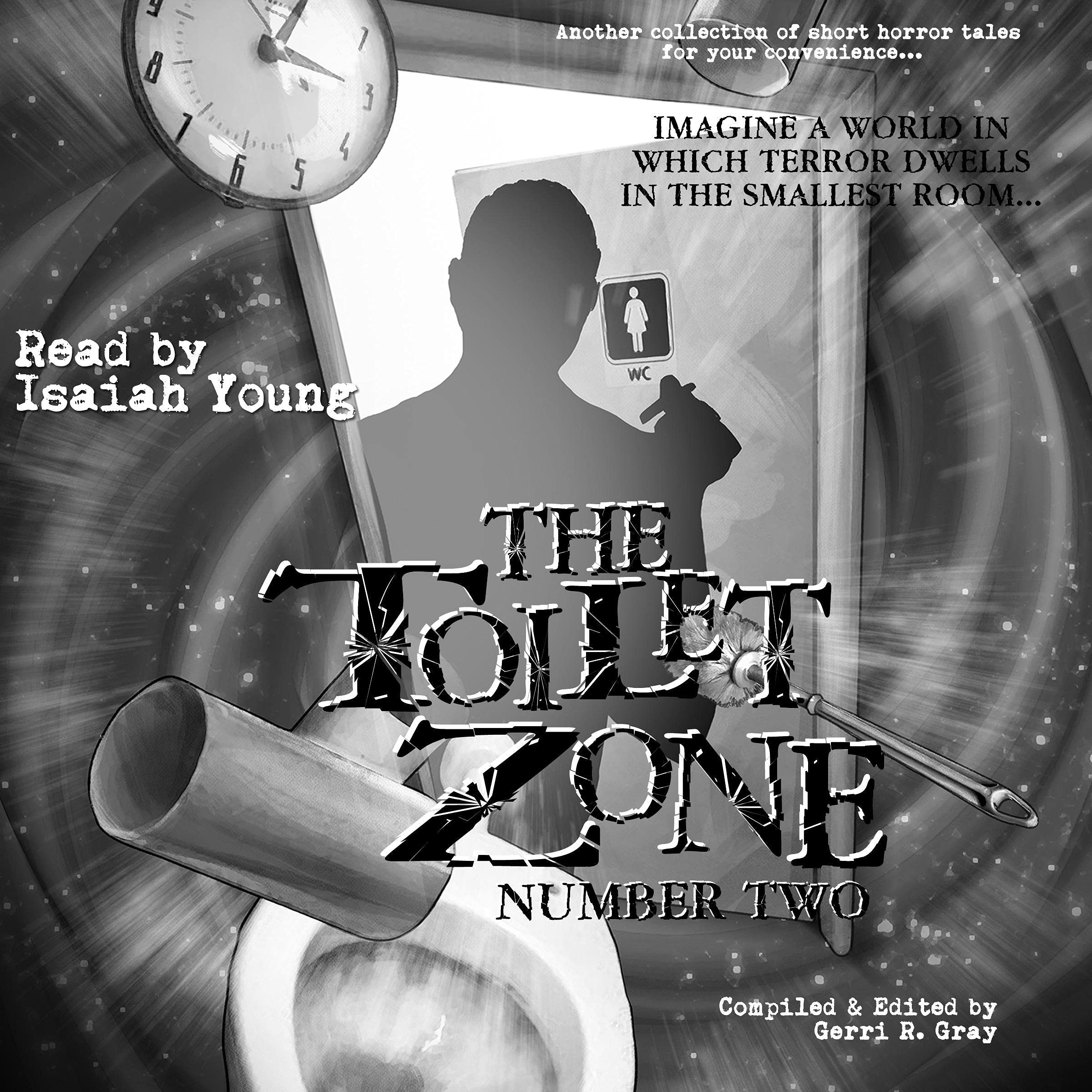 The Toilet Zone: Number Two