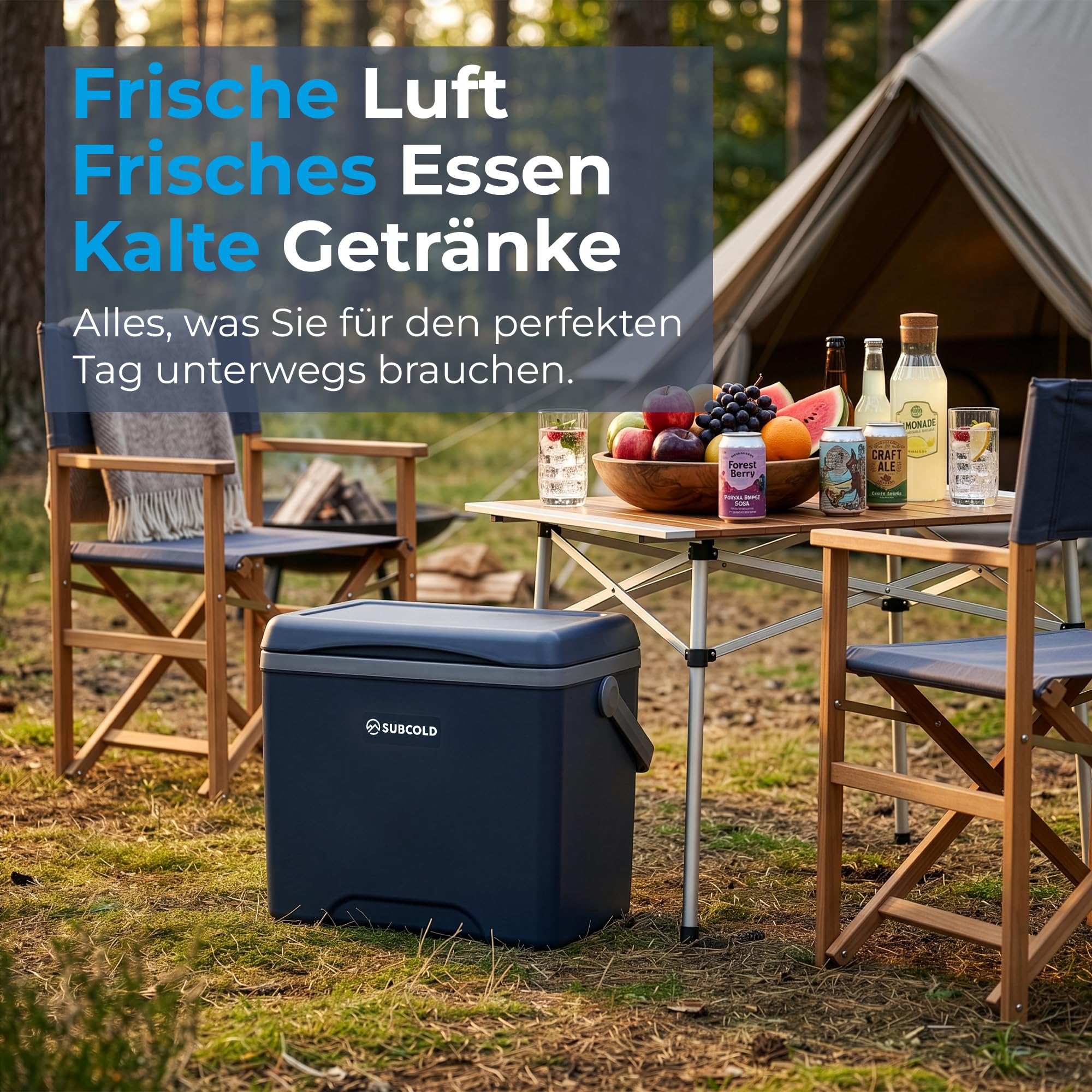 Subcold Kühlbox mit 2 Kühlakkus - Leichte isolierte Kühlbox | Isolierte Kühlbox für Reisen, Auto, Picknick & Strand | Tragbare Eisbox Kühlbox