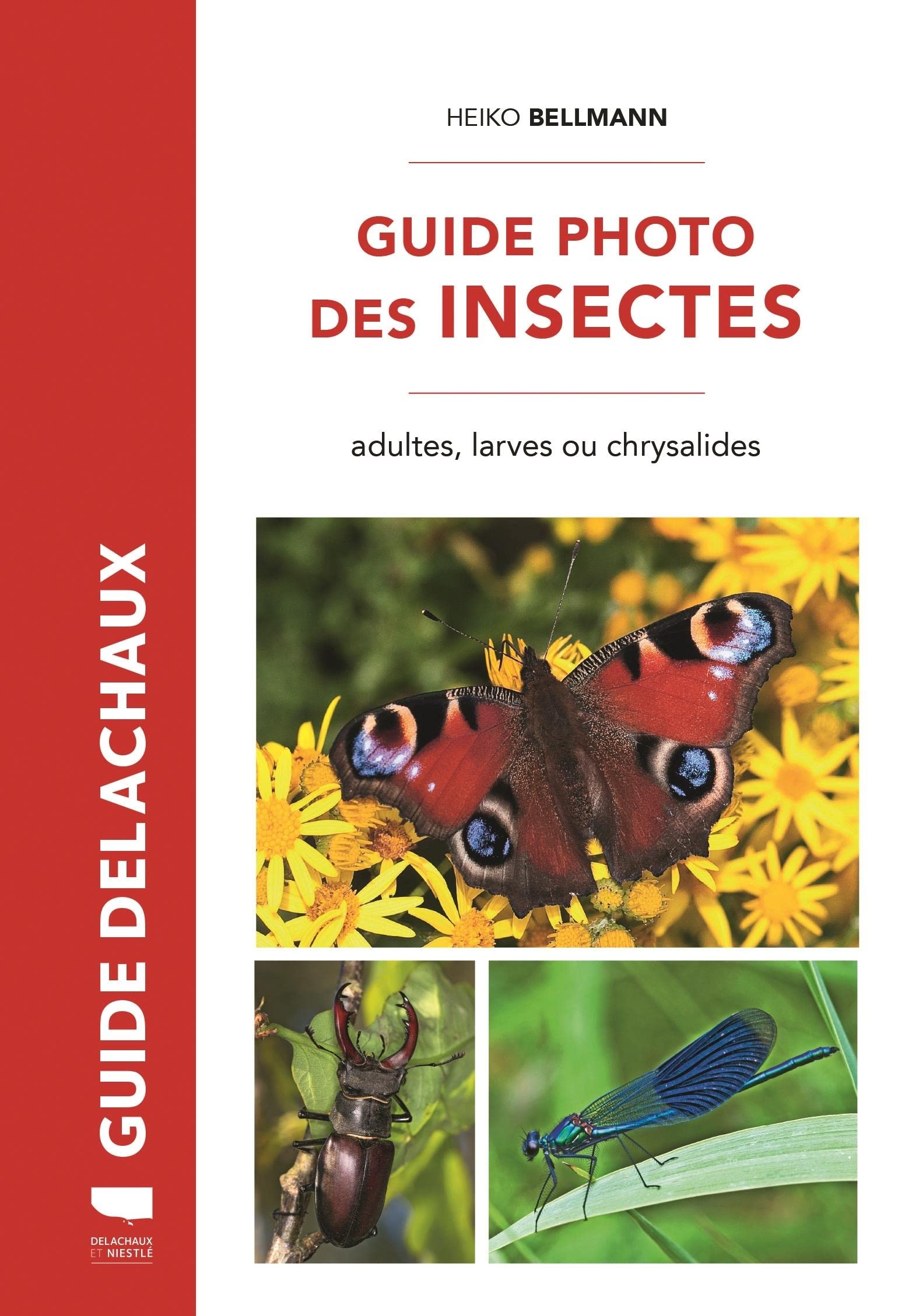 Guide photo des insectes: Adultes, larves ou chrysalides