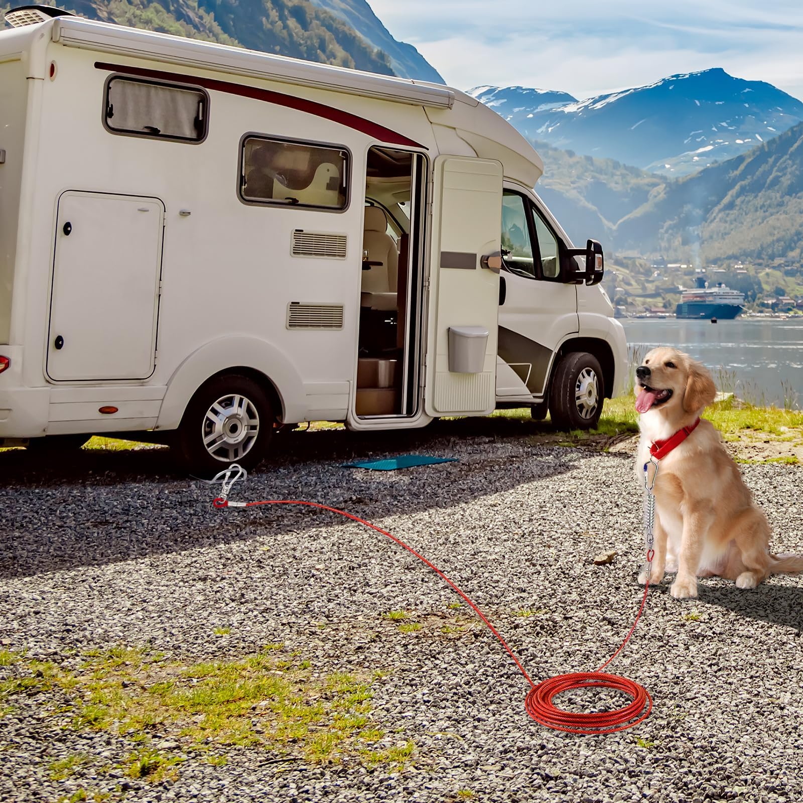 Anclaje de Suelo para Perros Espesar 0,4 cm 304 Acero Inoxidable Engrosamiento, Ancla para Perros Ideal para Salir con el Perro, Placa de Suelo Fácil de Usar