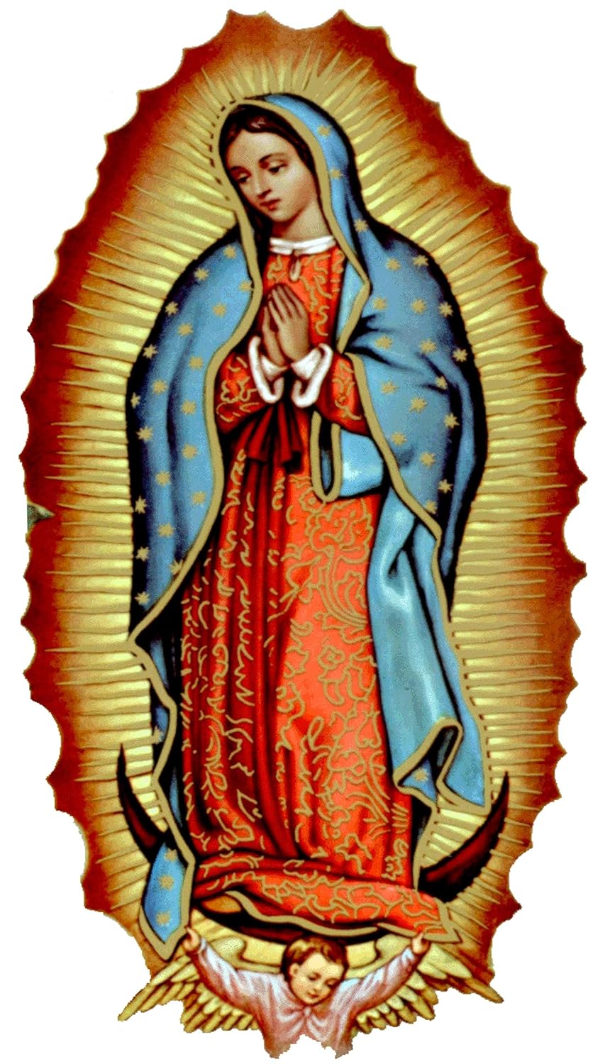 Virgen de Guadalupe Sticker/Car Decal 6 inch