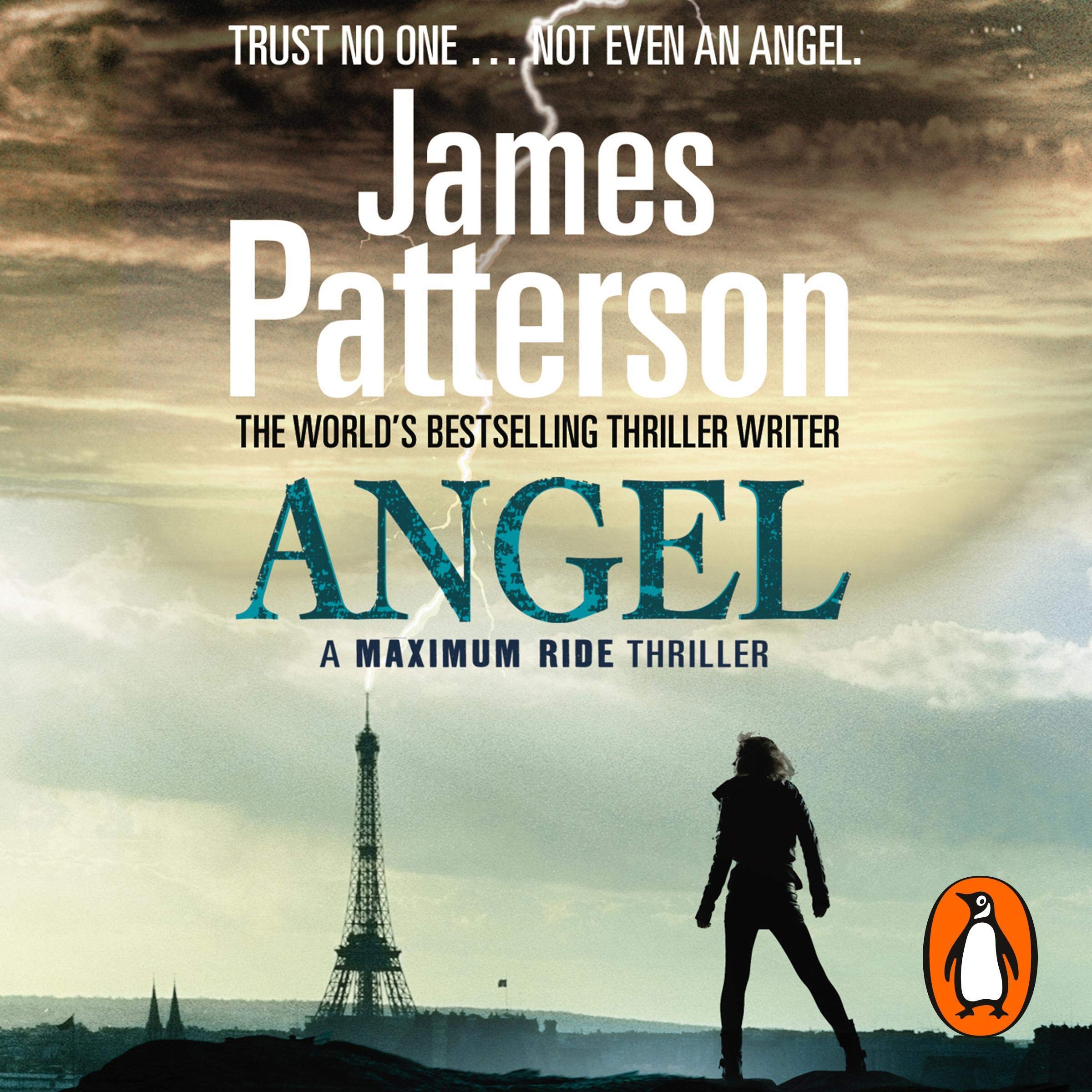 Cover art for Angel: A Maximum Ride Novel