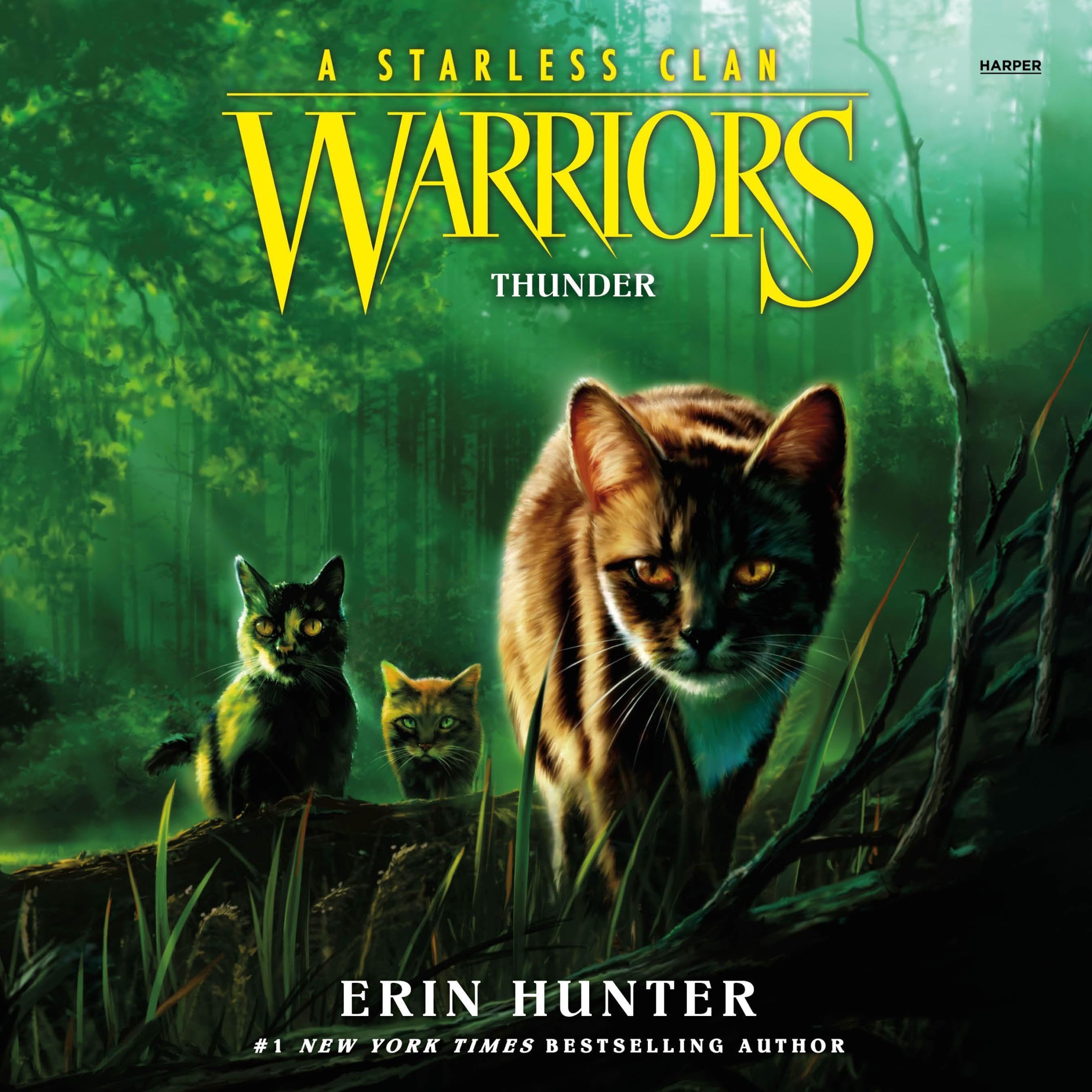 Cover art for Warriors: A Starless Clan #4: Thunder