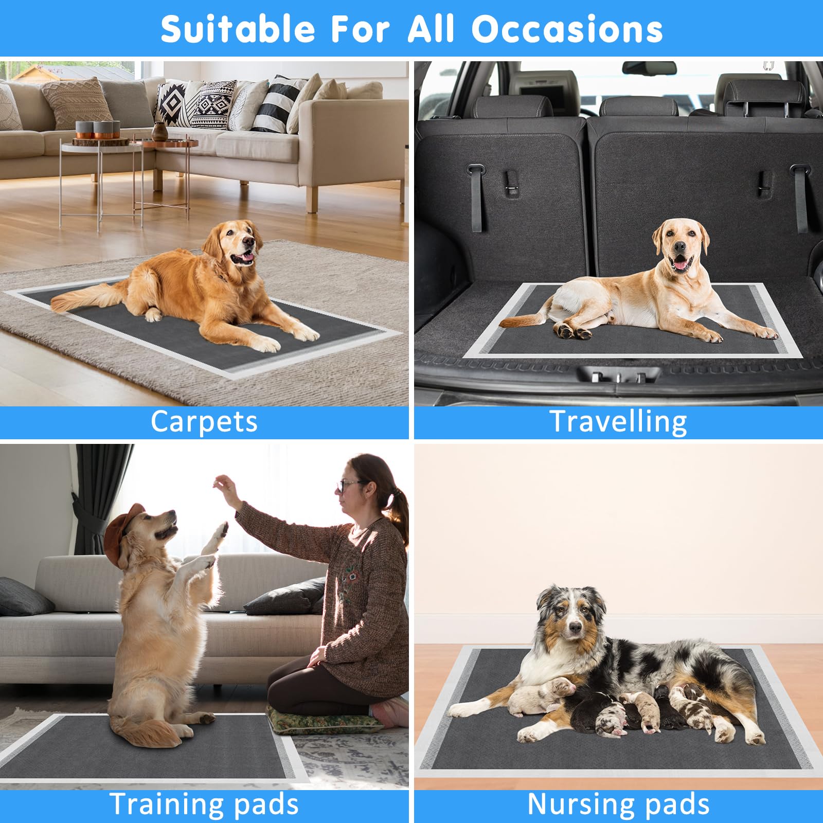 60 Stück Trainingspads für Hunde und Welpen, 60x90cm Aktivkohle Welpen Unterlagen, Hunde Unterlagen PIPI, Welpenunterlagen Auslaufsicheres 6-lagiges Design