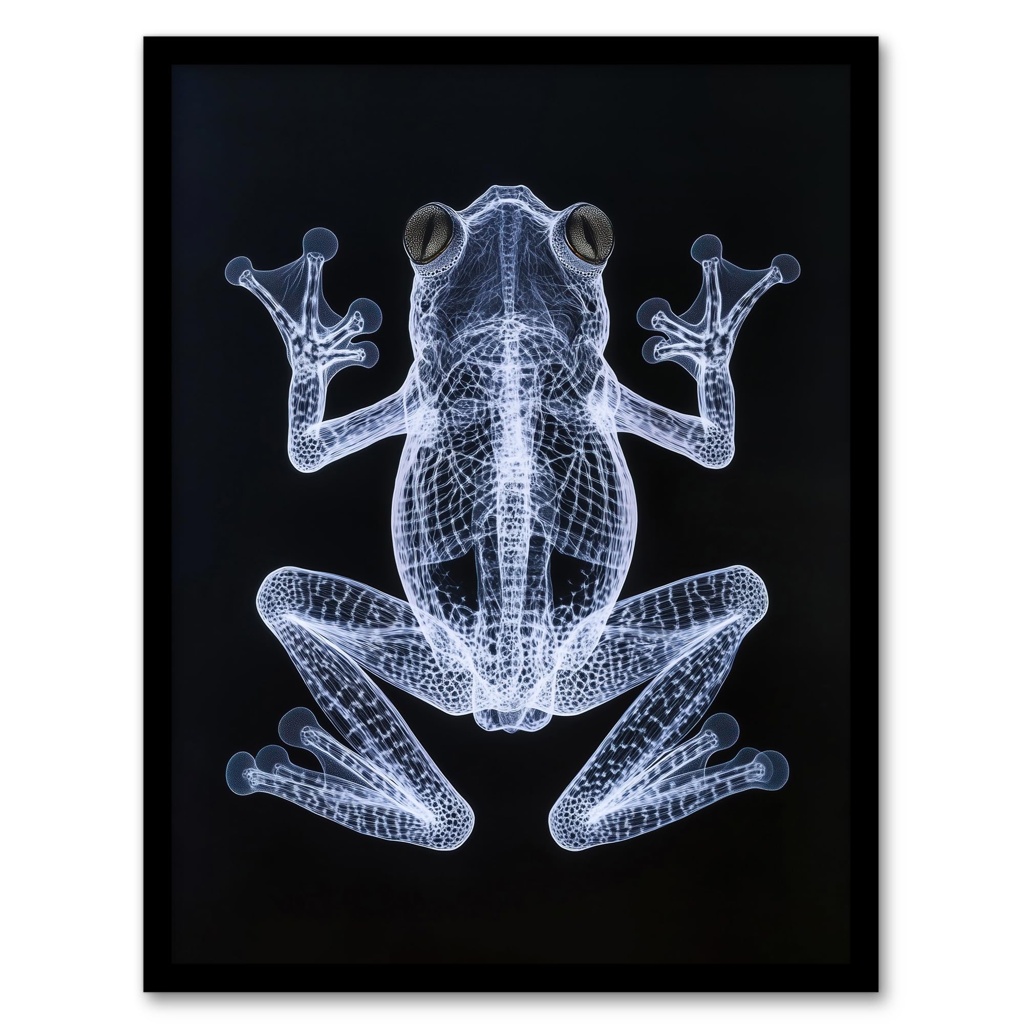 Artery8 Frog Detailed Dark Luminescent Xray Effect Bathroom Toilet Artwork Framed Wall Art Print 18X24 Inch