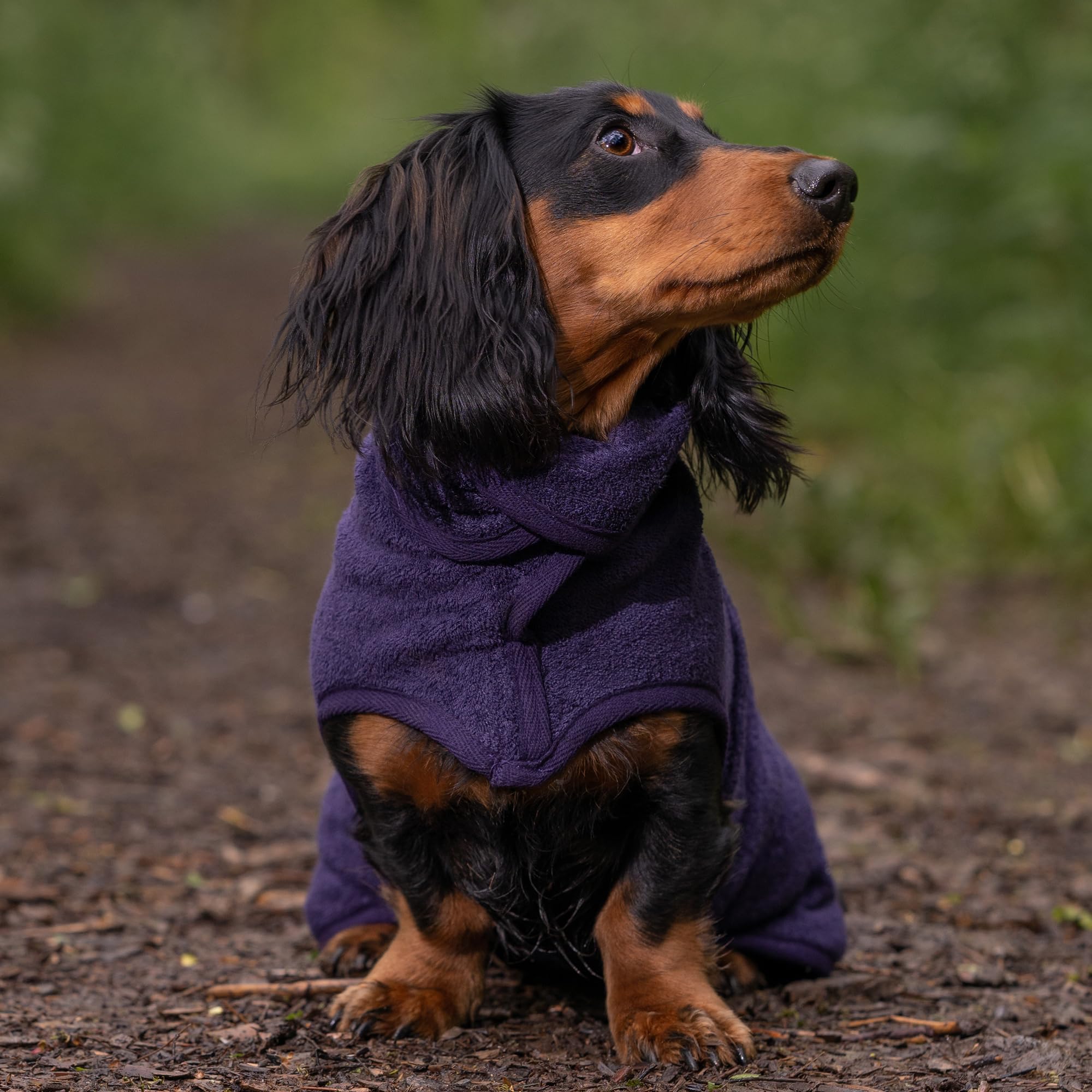 Ruff and Tumble Dog Drying Coat - Classic Collection, Blackberry - Image 3
