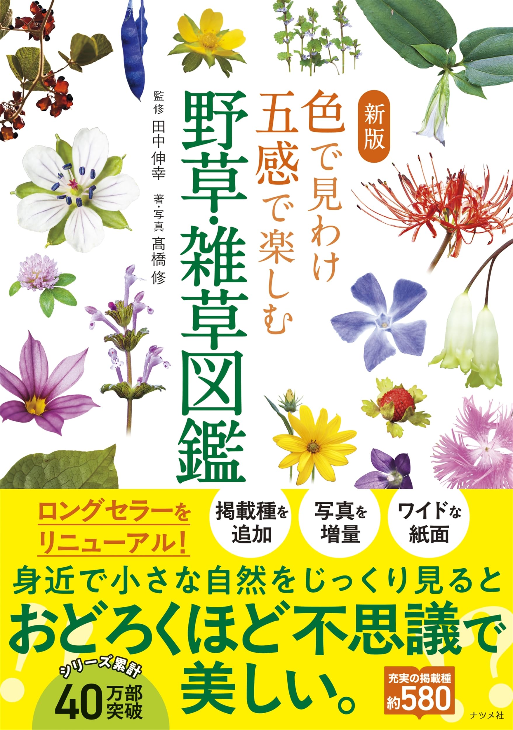新版 色で見わけ五感で楽しむ野草・雑草図鑑 | 田中 伸幸, 高橋 修