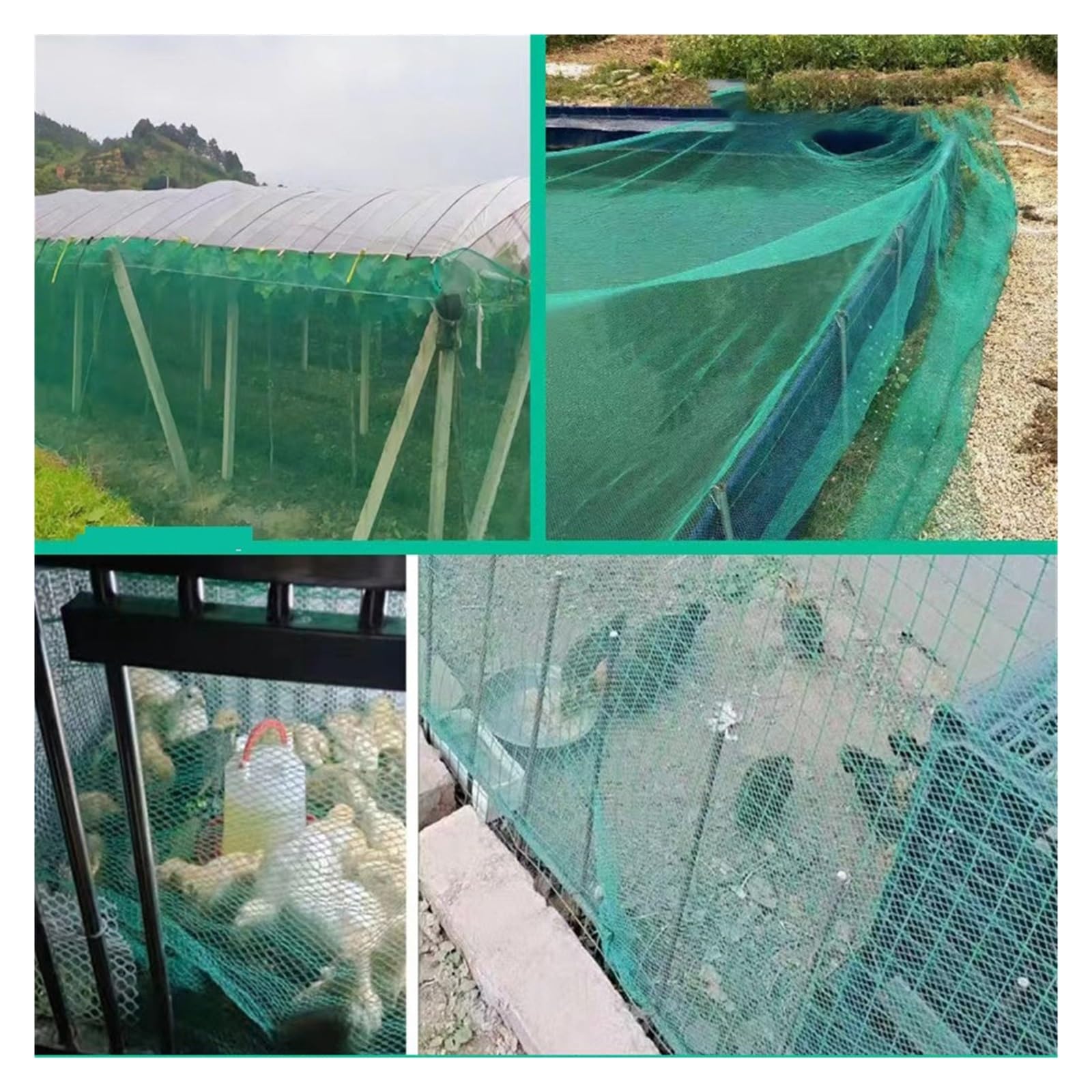 Red antipájaros de 0,5 cm, Resistente, for jardín, Plantas, pérgola, pájaros, Animales, Frutas y Verduras. para Jardín, Cultivos(4x10m)