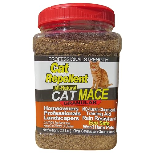 How To Stop Stray Cat From Spraying My House - CatWalls