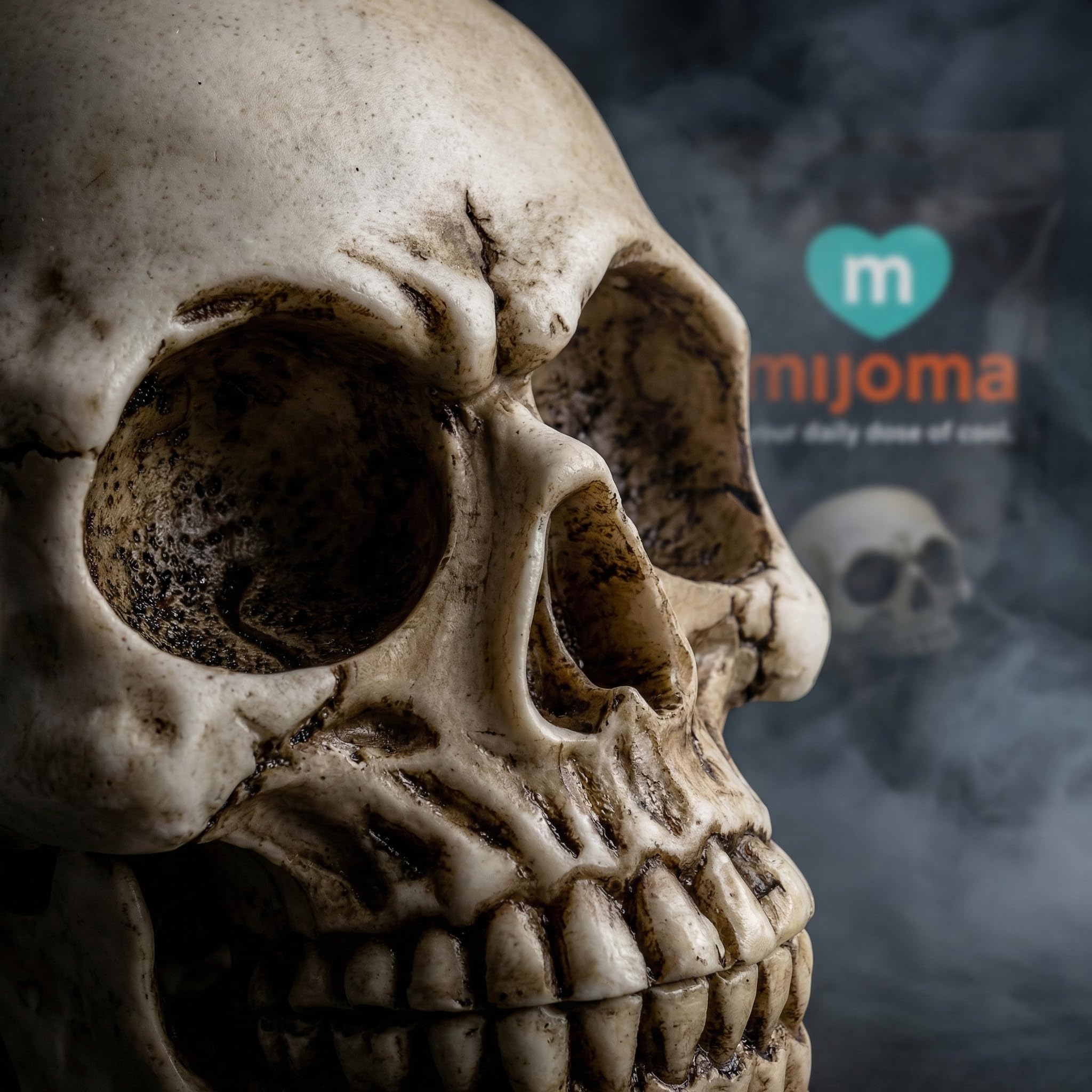 MIJOMA Gothic popielniczka – czaszka z otwartymi ustami – dekoracyjny design z poliresin – efektowna czaszka przyciągająca wzrok, idealna dla baru, lounge i fanów horroru