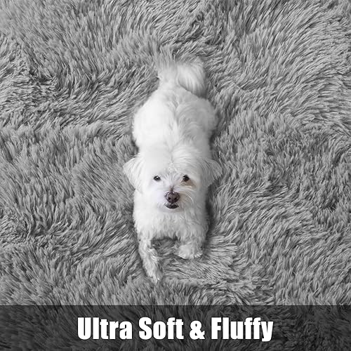 Miniatura 5 de Macgace Alfombras esponjosas para decoración de dormitorio, alfombra de pelo largo gris de 3 x 5 pies con puntos antideslizantes para sala de estar,