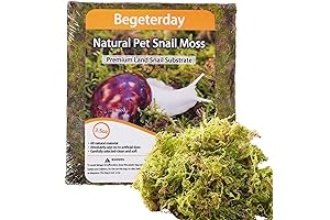 Natural Moss for Pet Snails: The Essential Humidity Regulator