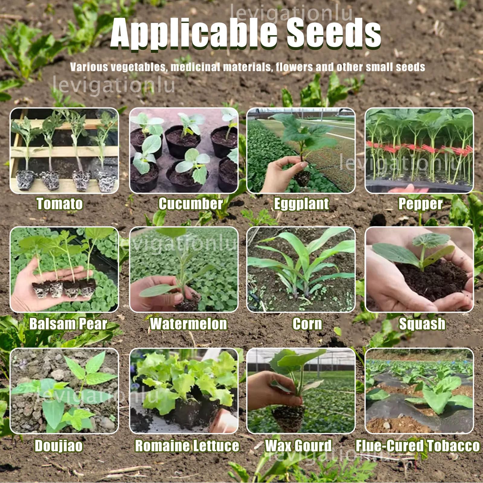 Sembradora Manual De Precisión - Esparcidor De Semillas con Ruedas para Maíz Y Hortalizas, con Espaciamiento Entre Hileras, Distancia Entre Plantas Y Profundidad Ajustables 1Row