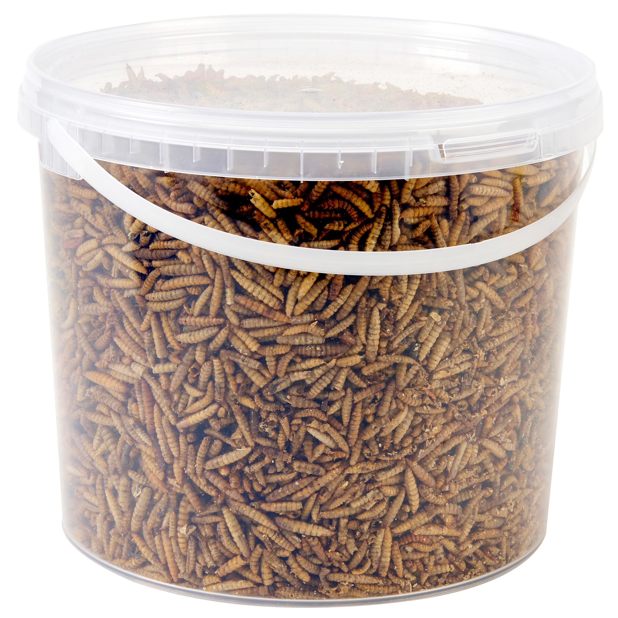 Wild Bird Food 5L Tub (5L Tub, Calci Worms)