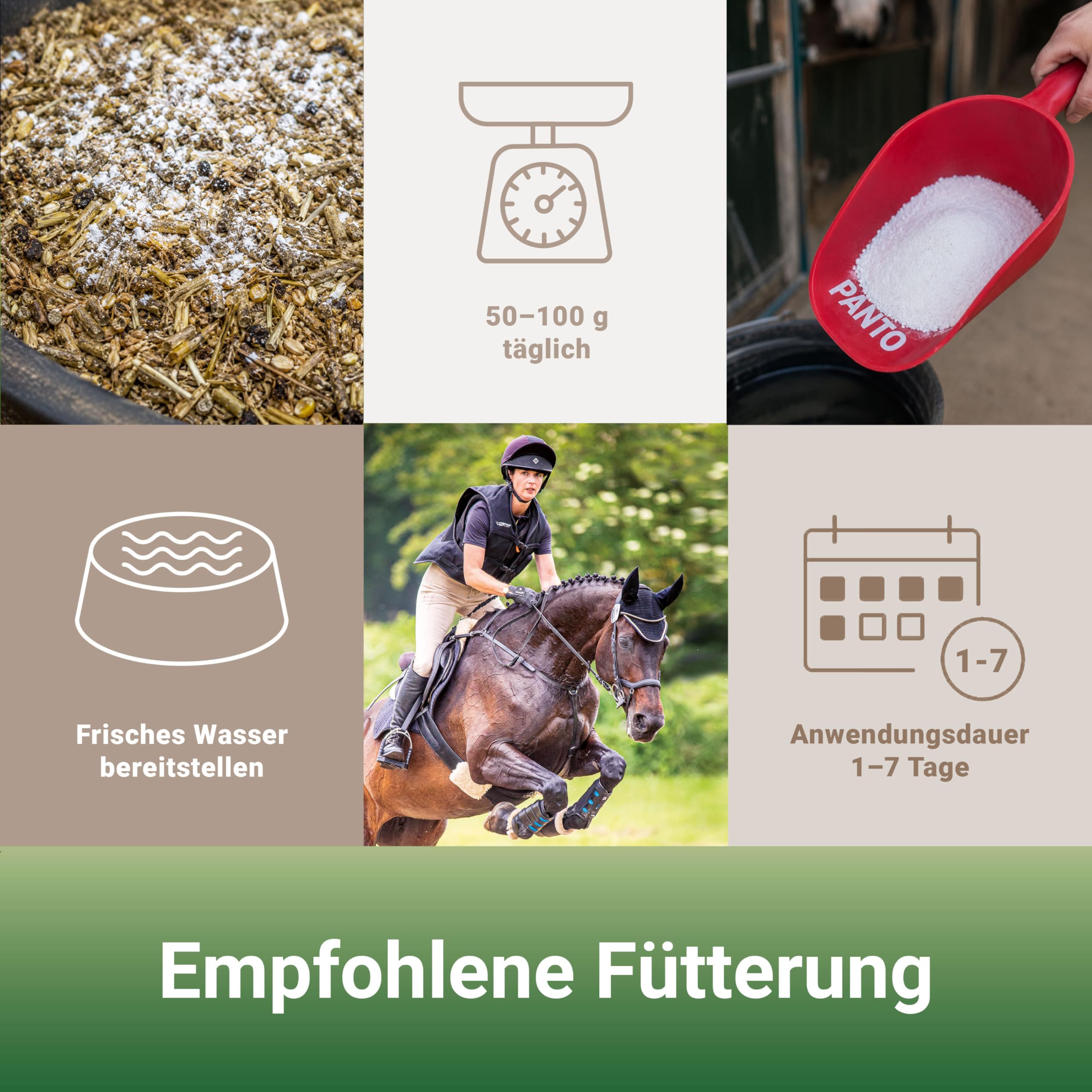 PANTO EloLyt – Wasserlöslicher Ausgleich bei Elektrolytverlust 5kg, Elektrolyt-Mineralstoffmix für Pferde bei Flüssigkeitsverlust, Wasserlösliches Pulver mit Vitaminen zur Regeneration