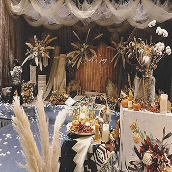 Amazon | 乾燥パンパスグラス観賞用高さ10本の茎27.5インチ