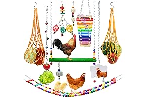 Indulge Your Hens: Ultimate Chicken Coop Accessory Oasis