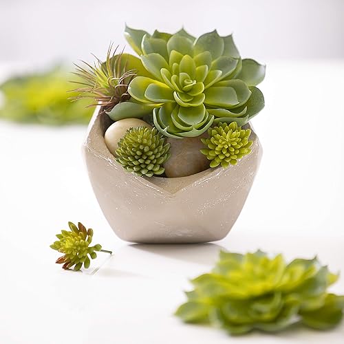 Miniatura 3 de Darice Kit de suculentas artificiales crea tu propio arreglo de suculentas, 10 piezas
