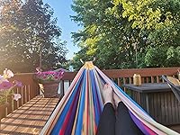 Review Image by Papaya Papaya