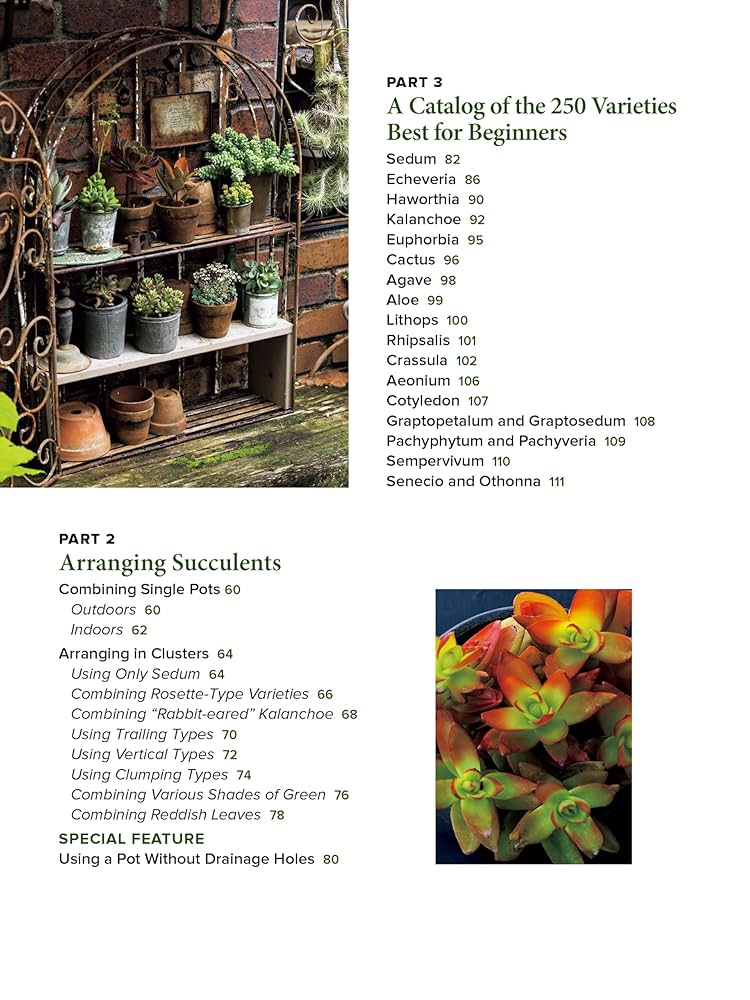 多肉植物全書 All about SUCCULENTS 多肉植物全書 All about SUCCULENTS | パワポン・スパナンタナー