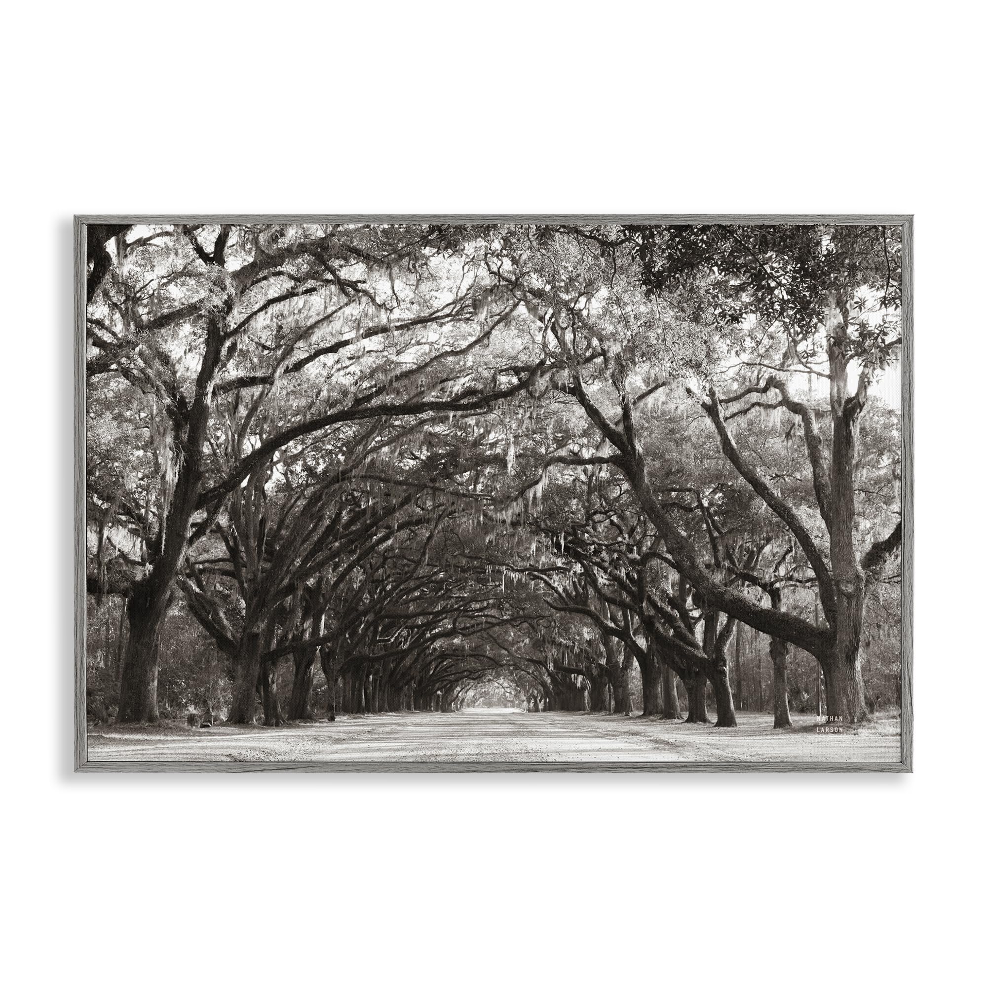 Impression Giclée Georgia Stroll Tree Tunnel encadrée gris 30x20 art mural Premium Stupell