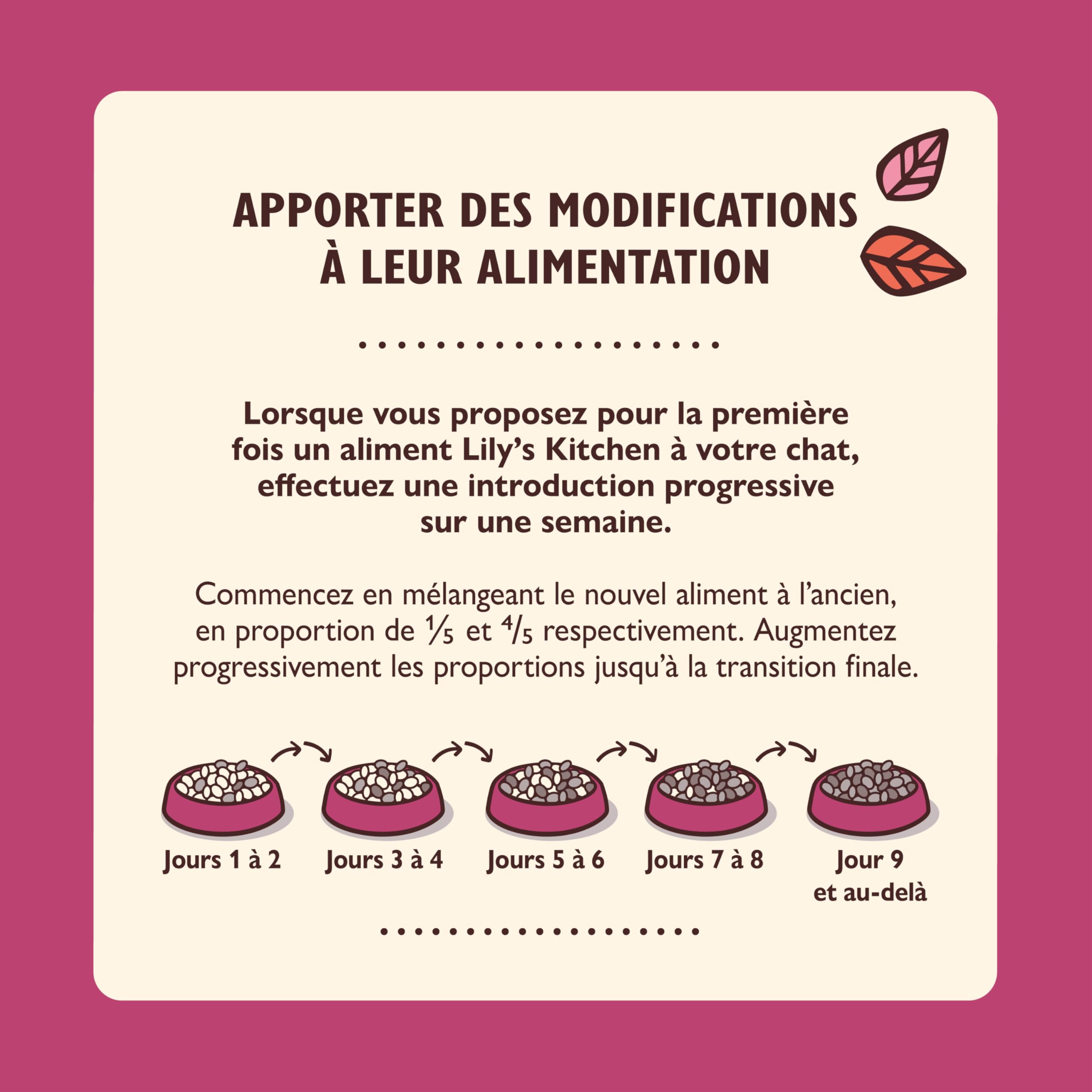 Lily's Kitchen Pâté lisse pour chaton, Poulet + bœuf (19 x 85 g)