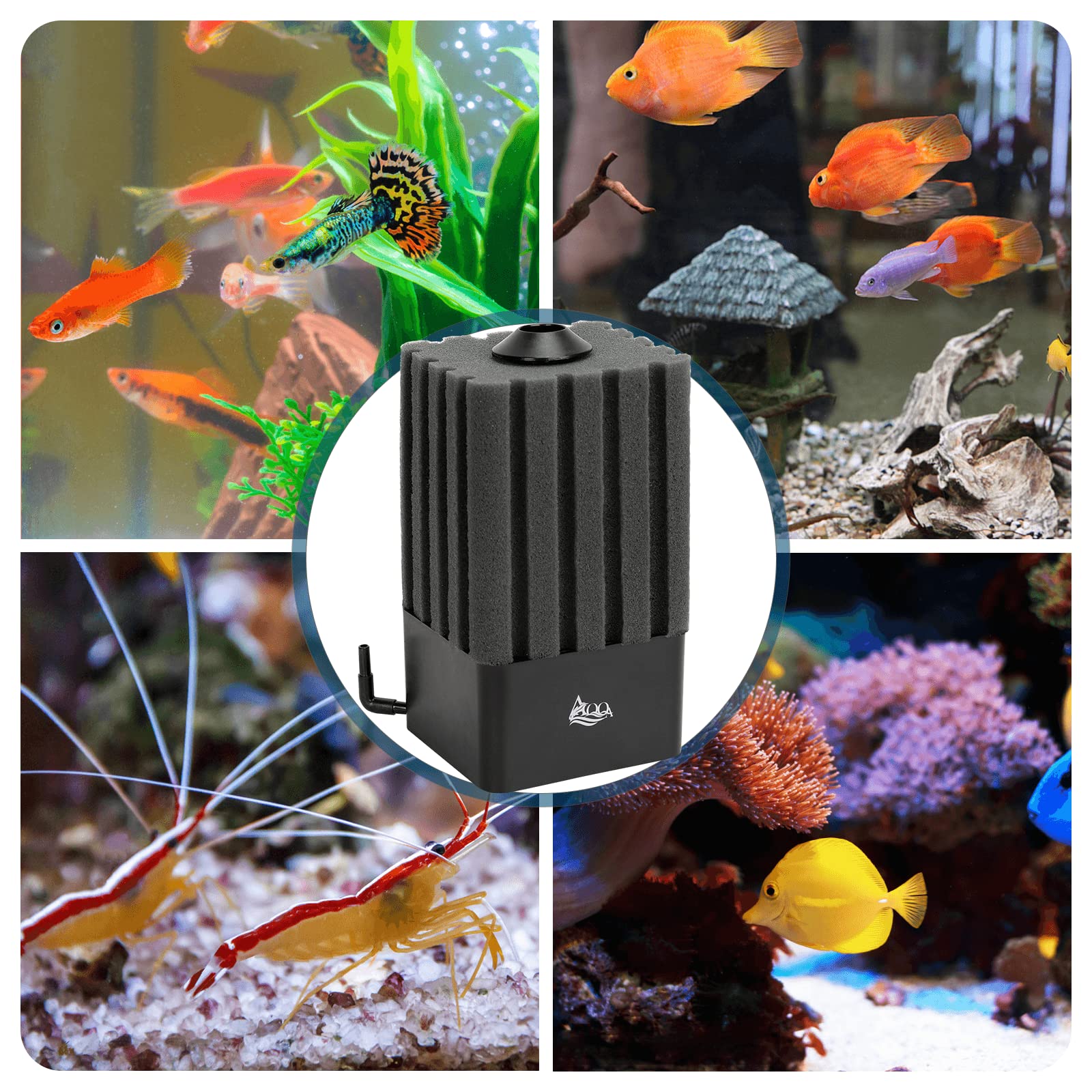 AQQA Filtro de esponja para acuario, filtro silencioso para filtro biológico y mecánico, filtro interior de acuario con material filtrante