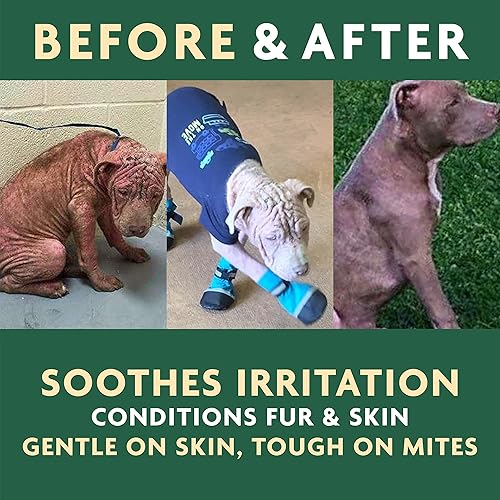 Miniatura 4 de EcoMange Mange Relief for Dogs & Cats - Alivio de la picazón de gatos y perros, 8 onzas, spray sarcóptico y demodéctico para ácaros - Extracto de