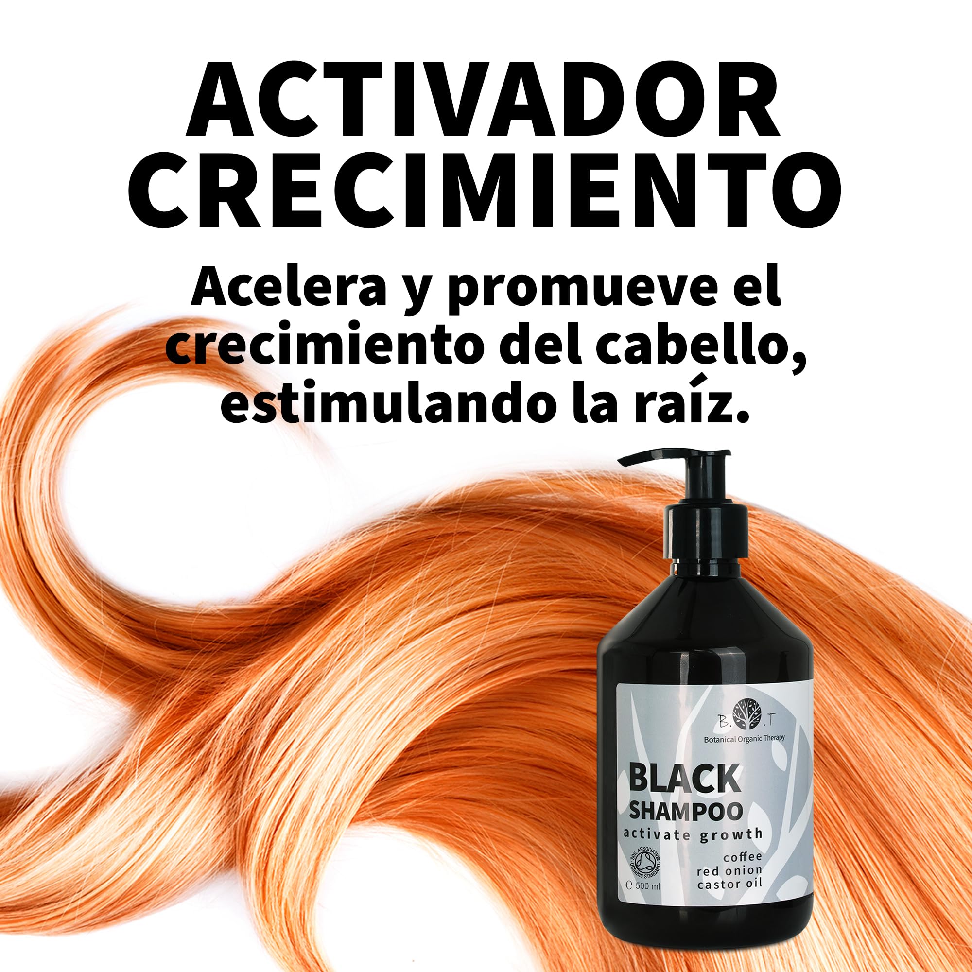 Champú de Cebolla, Cafeína y Ricino Control Antigrasa | Estimulador de Crecimiento Capilar | Anticaída | Seborregulador | Anticaspa, Negro, 2000 ml
