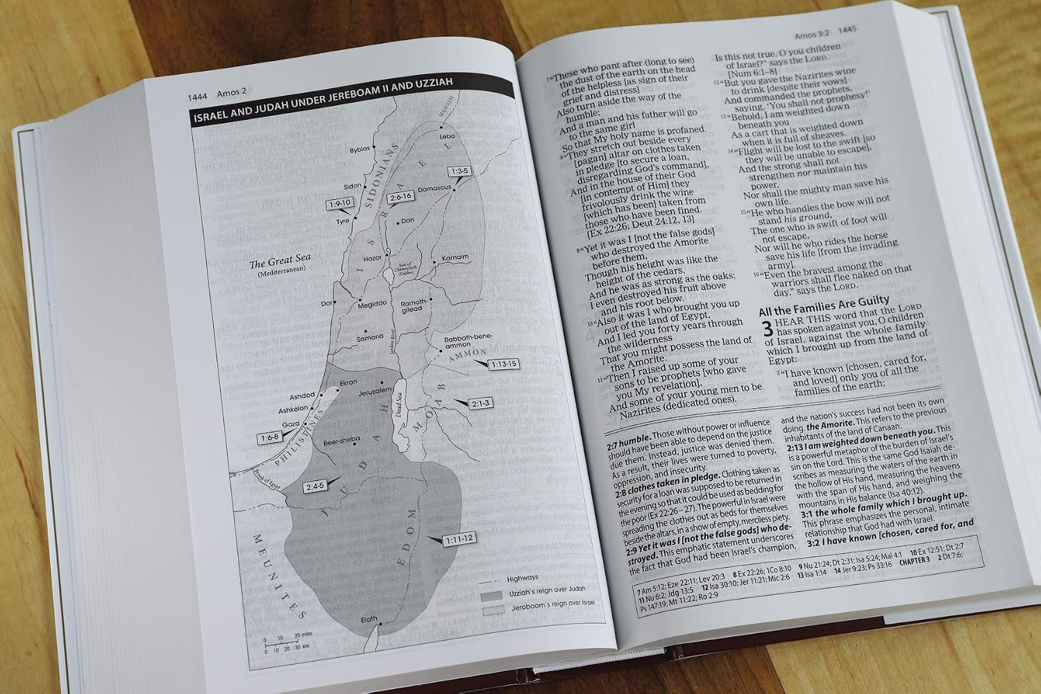 The Amplified Study Bible, Hardcover
