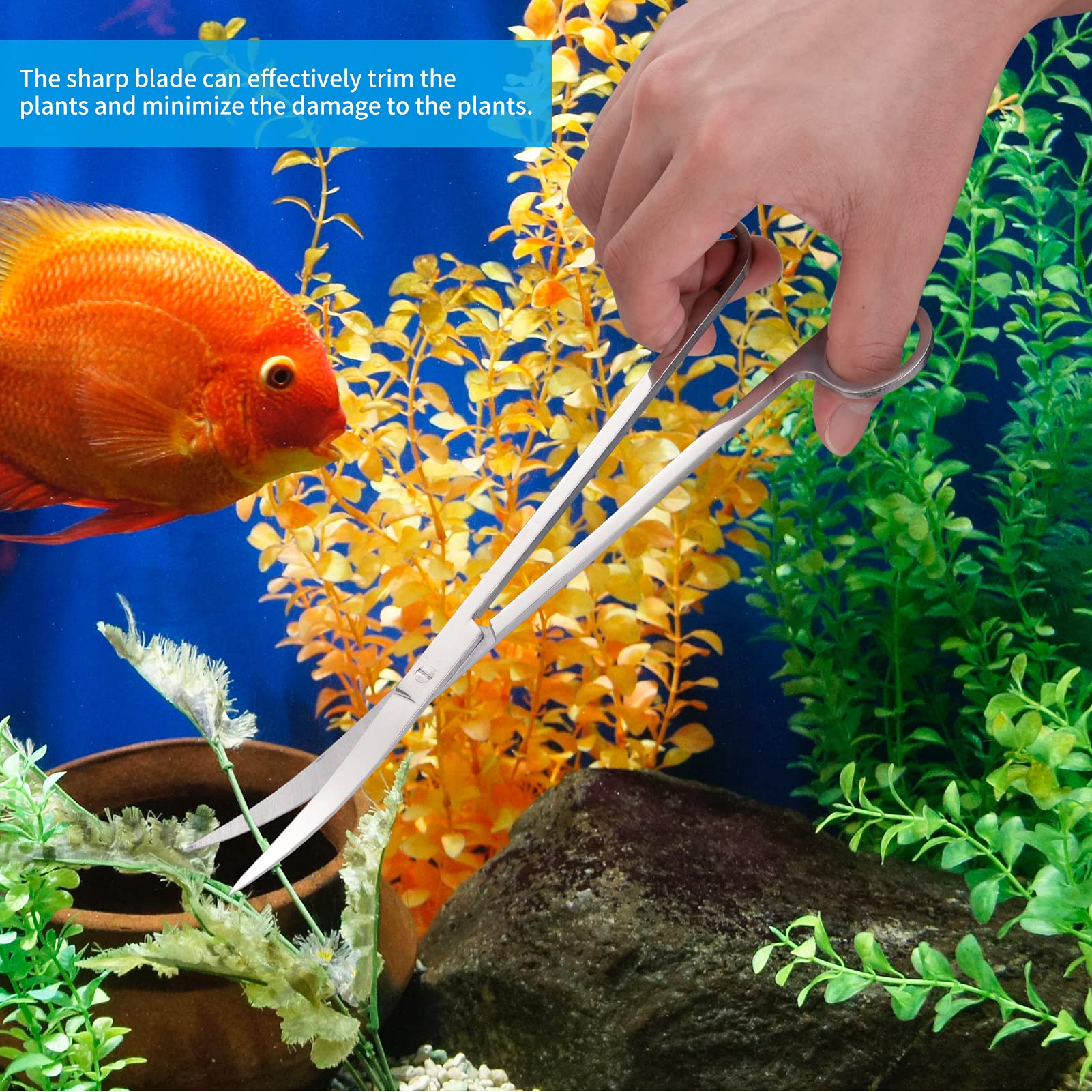 Aquascape Tools Kit con forbici per acquario, pinzette dritte e curve, spatola per acquario, set di strumenti per la pulizia del serbatoio dei pesci (Sliver)