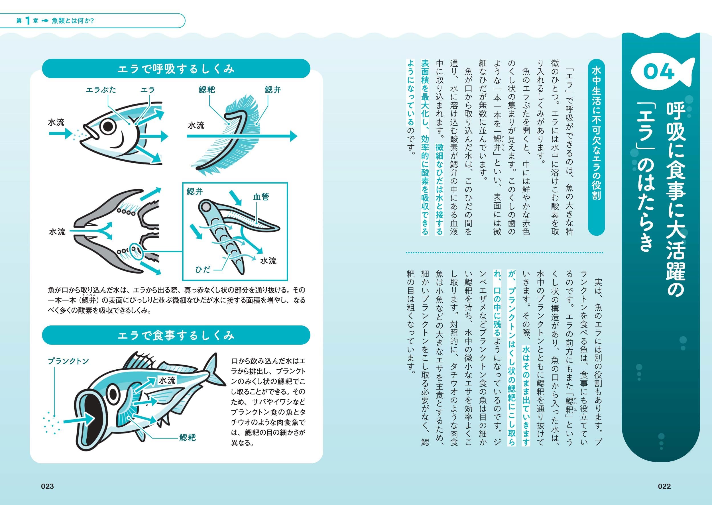 かわちゃんページ 書籍・グッズ | さかなのおにいさん かわちゃん オフィシャルサイト