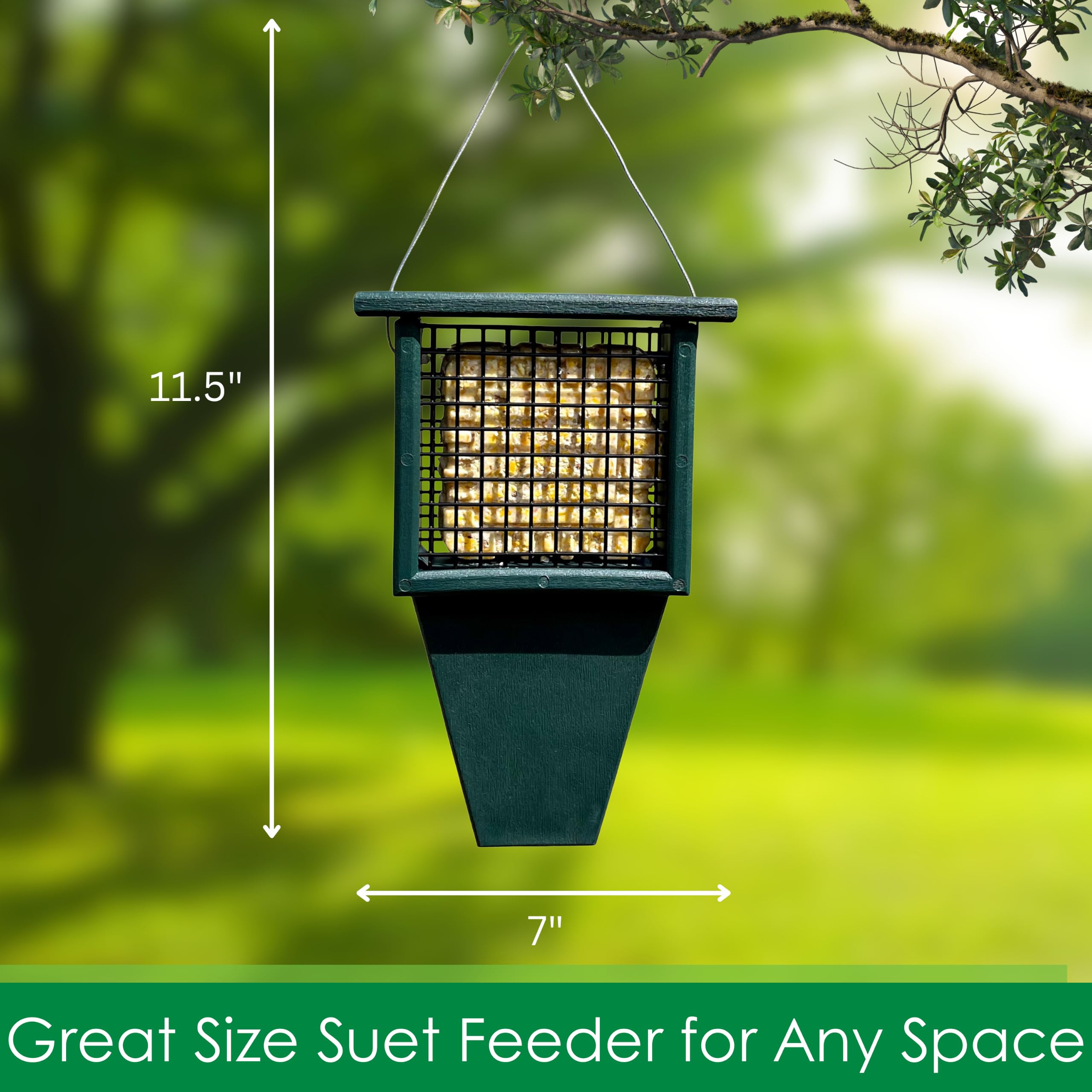 Songbird Essentials SERUBSF100H - Mangiatoia per suet con coda, 29 x 6,3 x 19 cm