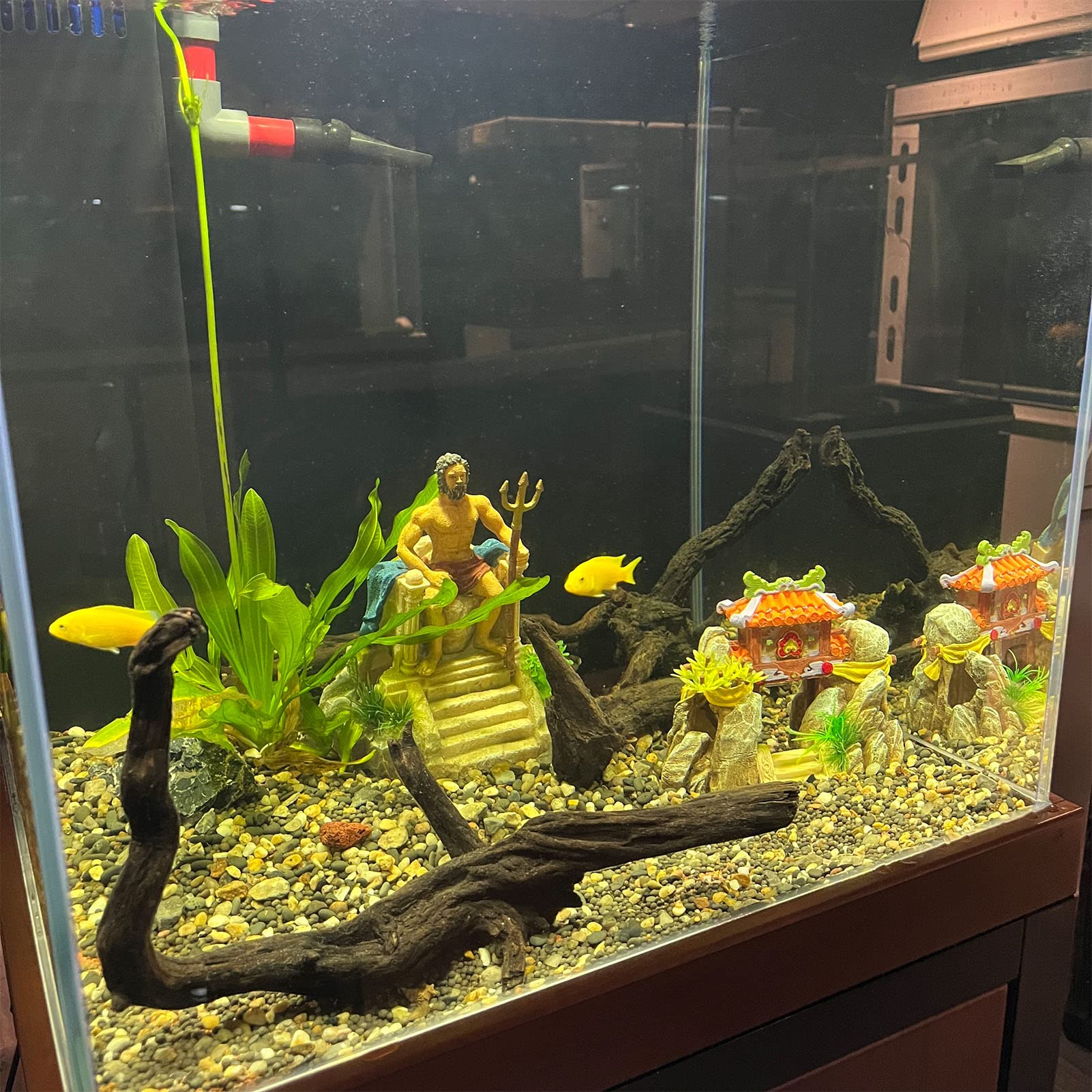 Tyenaza Decorazioni per Acquario, Decorazione Classica per La Casa in Resina, Ornamento per Statua di Acquario per Accessori Subacquei