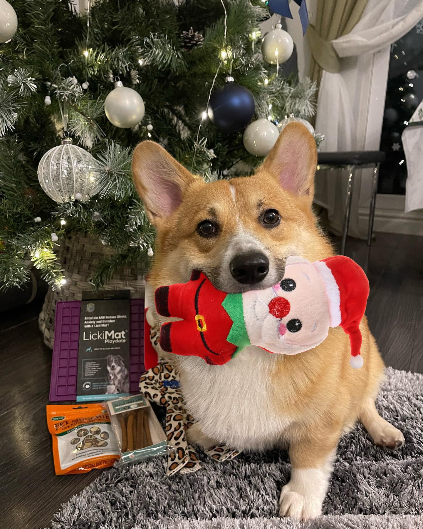 Kleines Hundespielzeug, Weihnachten, Plüsch, quietschendes Welpenspielzeug, Urlaubs-Hundespielzeug, Geschenk-Set