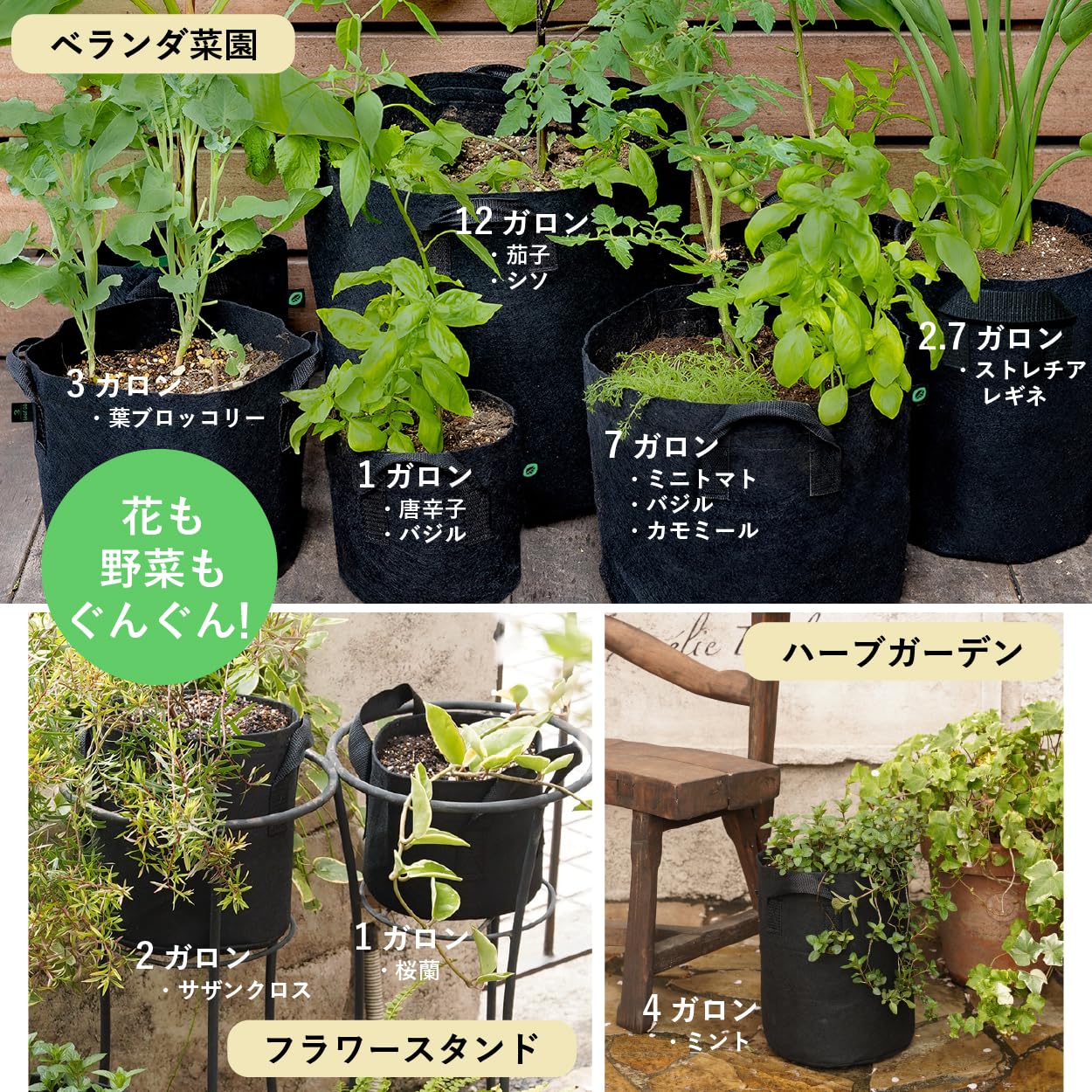 Amazon.co.jp: Leaf88 不織布プランター 3ガロン（直径25x高さ22cm）5