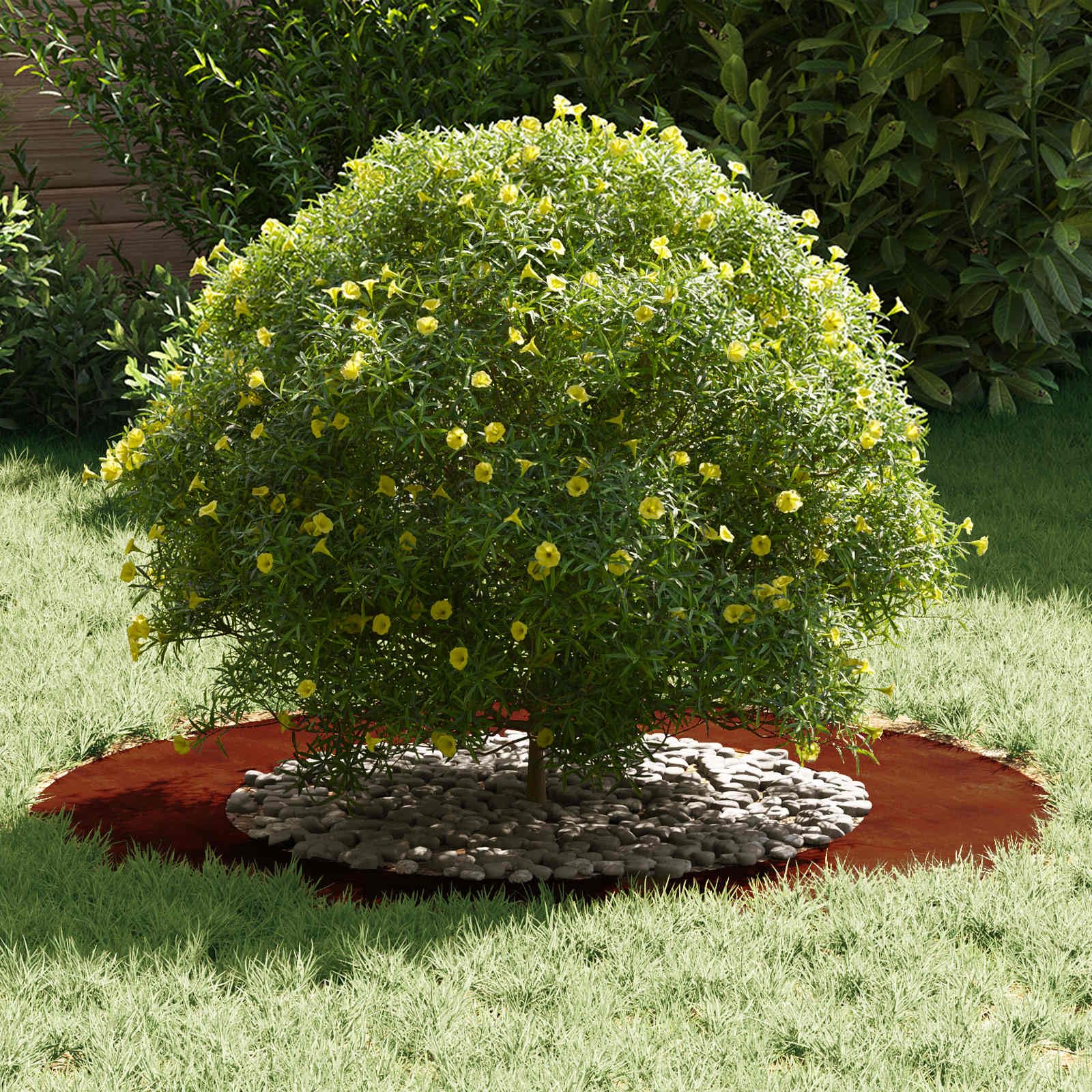 Lot de 5 Anneaux d'arbre en Acier Patiné Marron, Bordures de Jardin Décoratives pour Protection des Racines, Ø 50/80 cm, Entourage Moderne pour Arbres et Aménagement Paysager