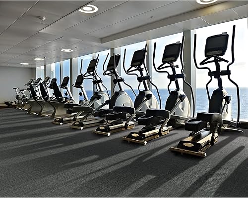 Miniatura 4 de Mohawk Basics - Bereber (pila de bucle), 24 x 24 pulgadas de altura del pelo, baldosa de alfombra, fibra de PET, color carbón, (24 azulejos), (96