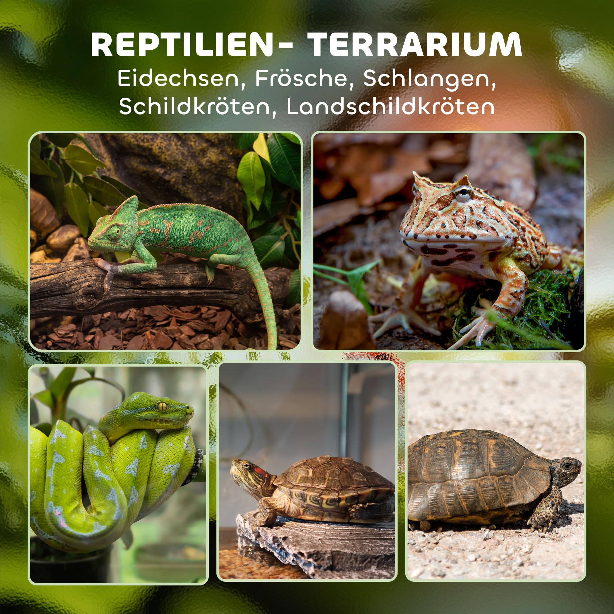 PawHut Terrario per rettili, terrario in vetro, 24 l, contenitore di alimentazione rettile, con ventilazione frontale, tappo a vite per anfibi ragno, nero, 30 x 30 x 30 x 30 cm