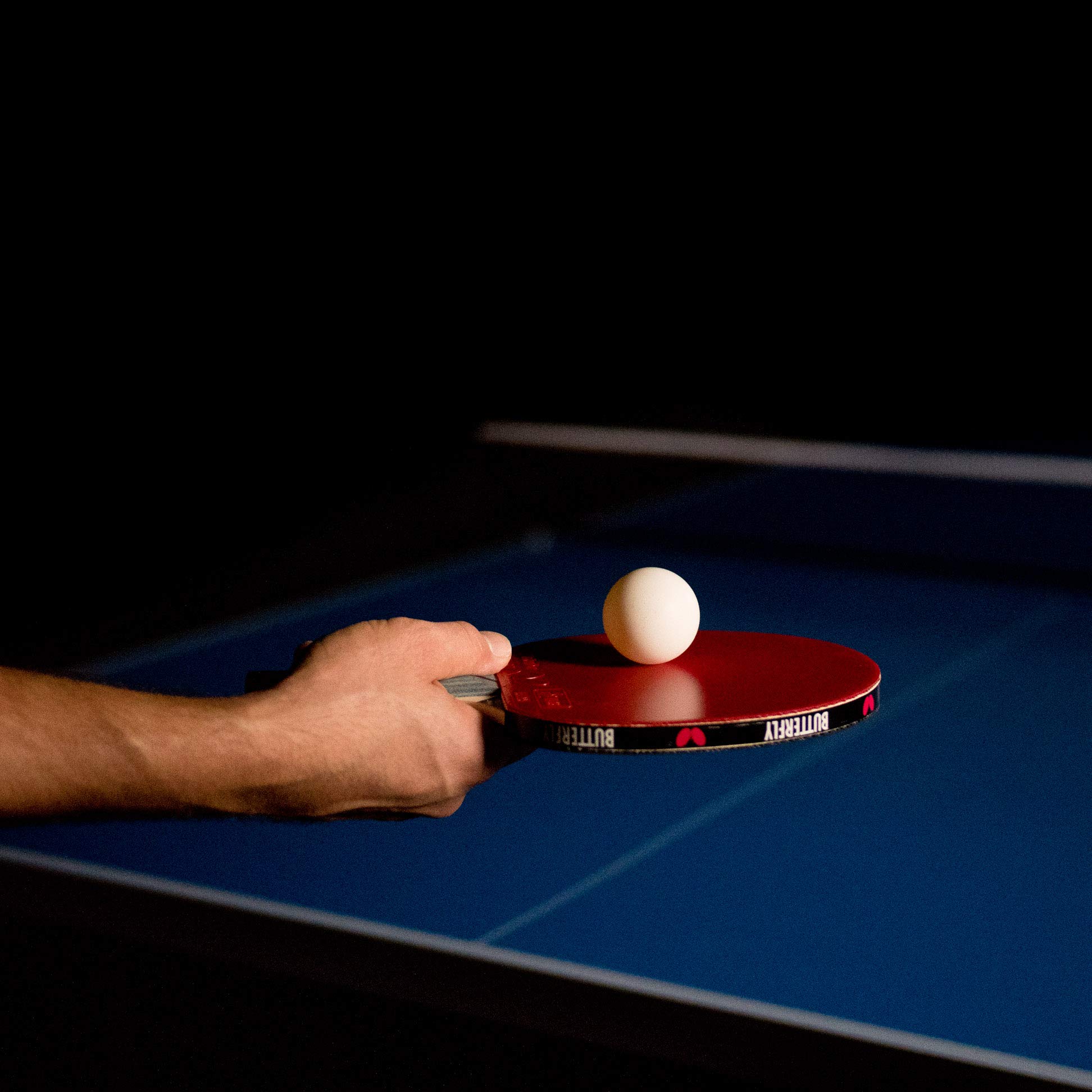 Butterfly Yetişkin Hazır Raket Timo Boll, Black