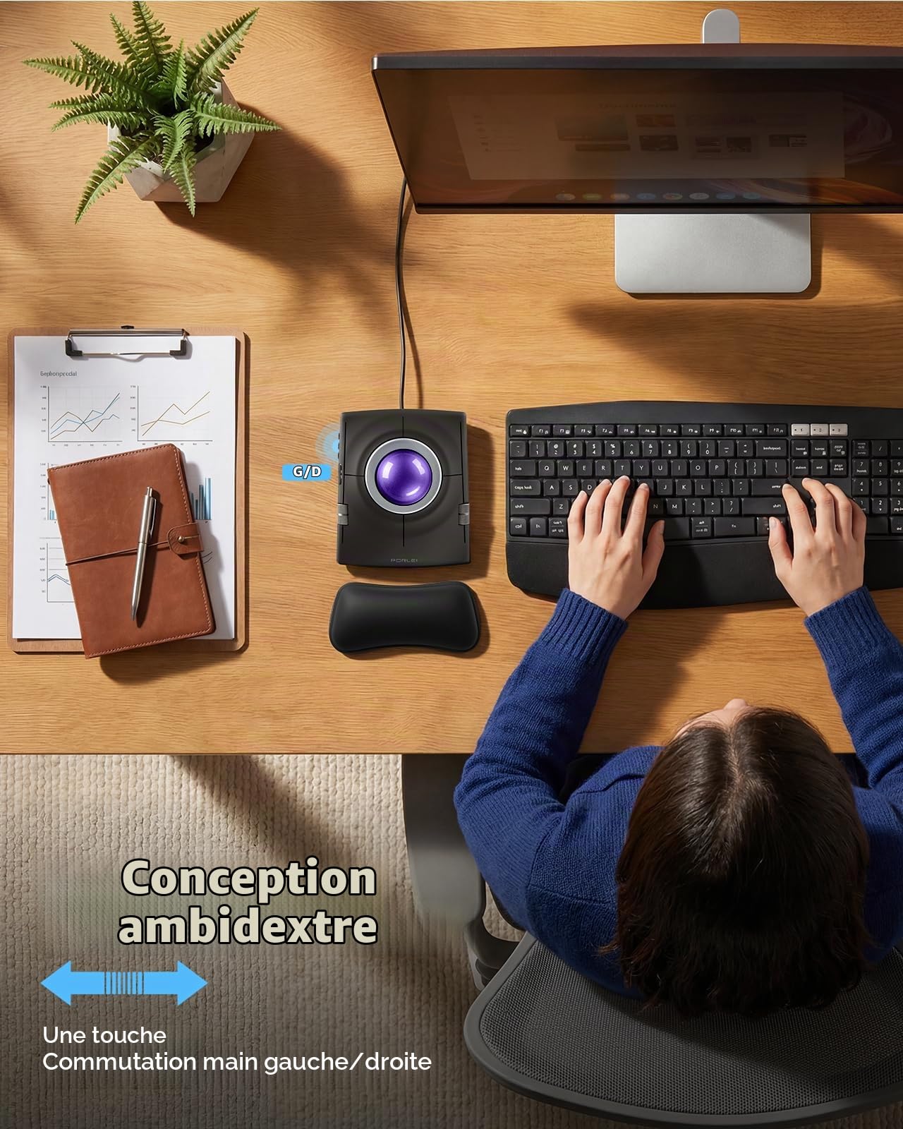 Souris filaire Trackball ergonomique, contrôle des doigts avec grande boule de 55 mm, DPI réglable à 4 niveaux, design ambidextre, repose-poignet inclus, compatible avec PC, ordinateur portable