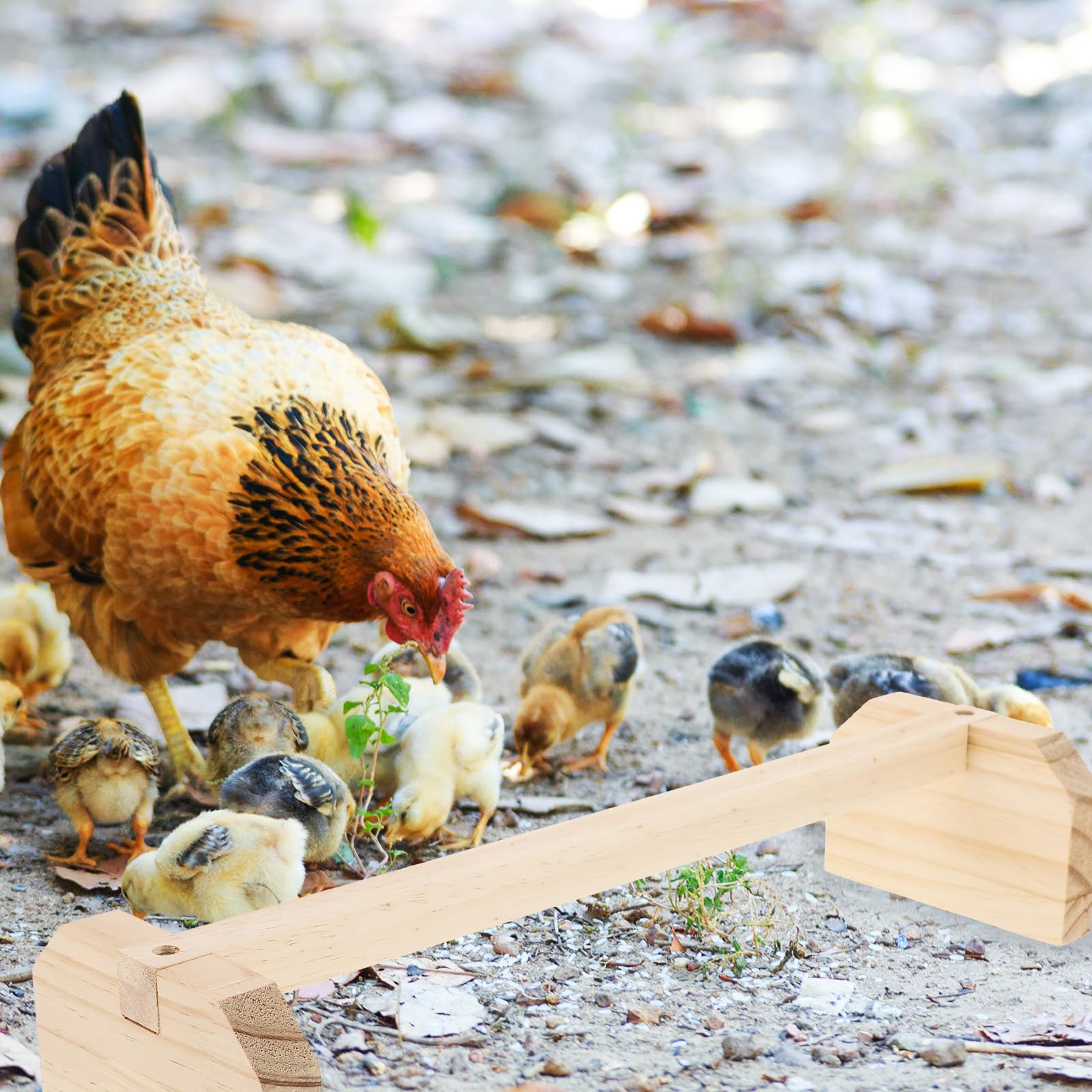 POPETPOP 2 barras de madera para gallina y gallinero para aves grandes, pollos Gallinas Polluelos loros