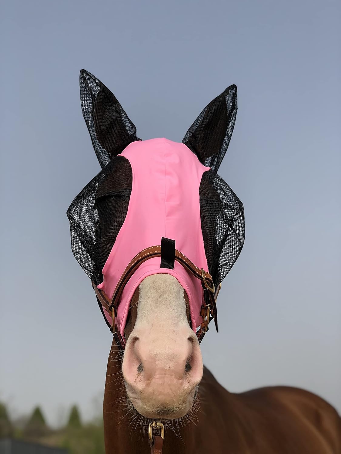 Horse Mask, Horse Mask with Ears, TGW RIDING Extra Comfort Grip Soft Mesh Horse Mask with Ears (L, Light Pink) : Pet Supplies