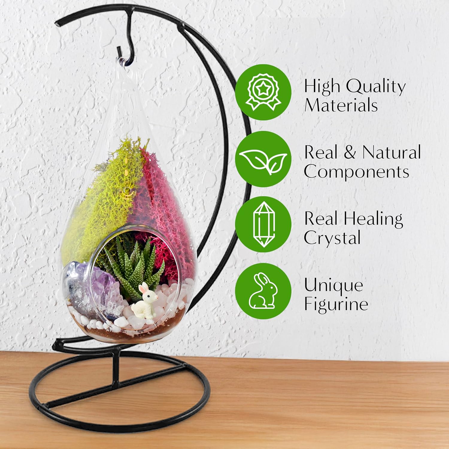 Creations by Nathalie 7" DIY Teardrop Terrarium Kit with Live Plants - Hanging Glass Planter with Stand for Adults & Kids - Build a Mini Ecosystem with Moss, Crystals, Tools - Made in The USA