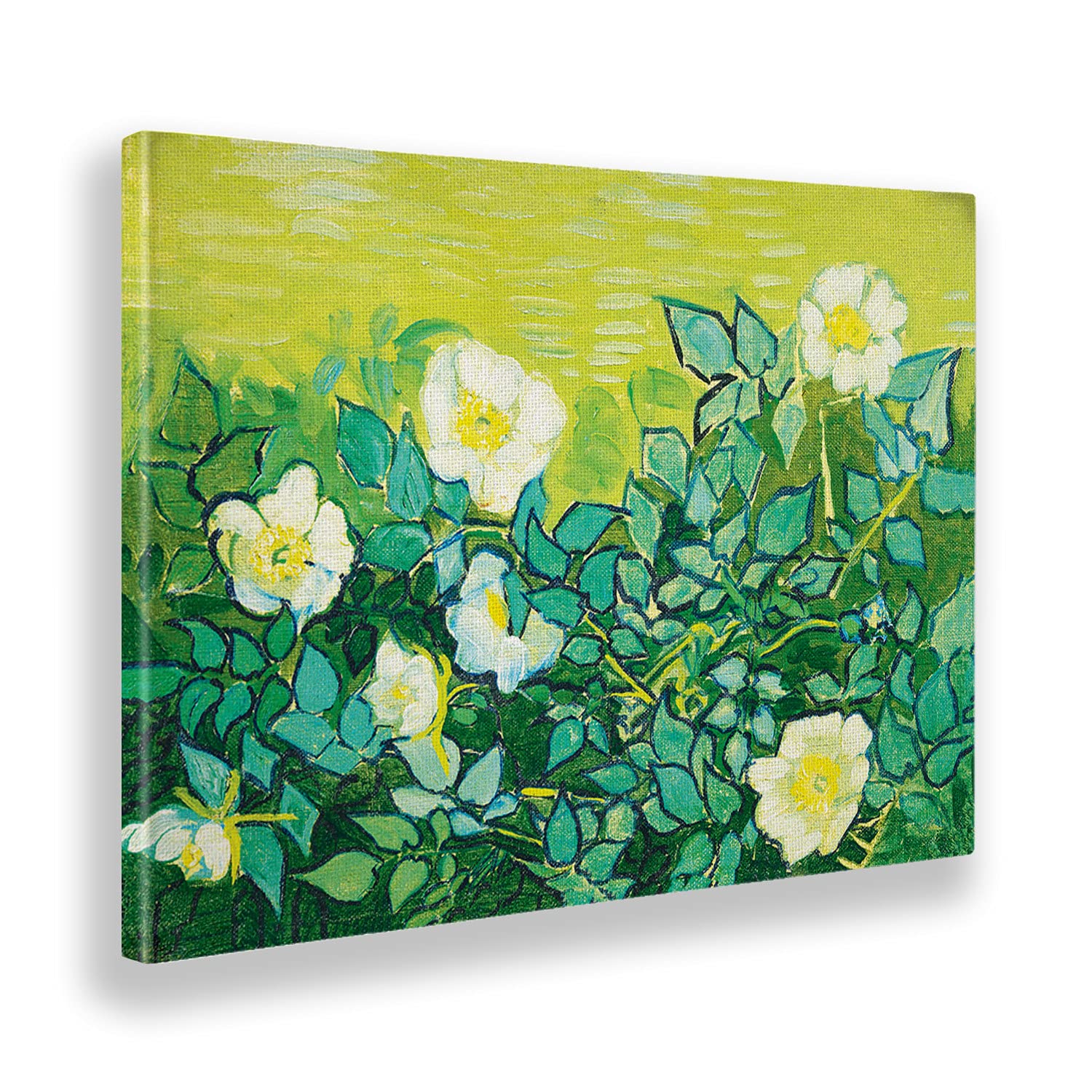 Giallobus - Quadro - Vincent Van Gogh - Rose selvatiche - Tela Canvas Telaio Standard - 100x70 - Pronto da appendere - Quadri moderni per la casa