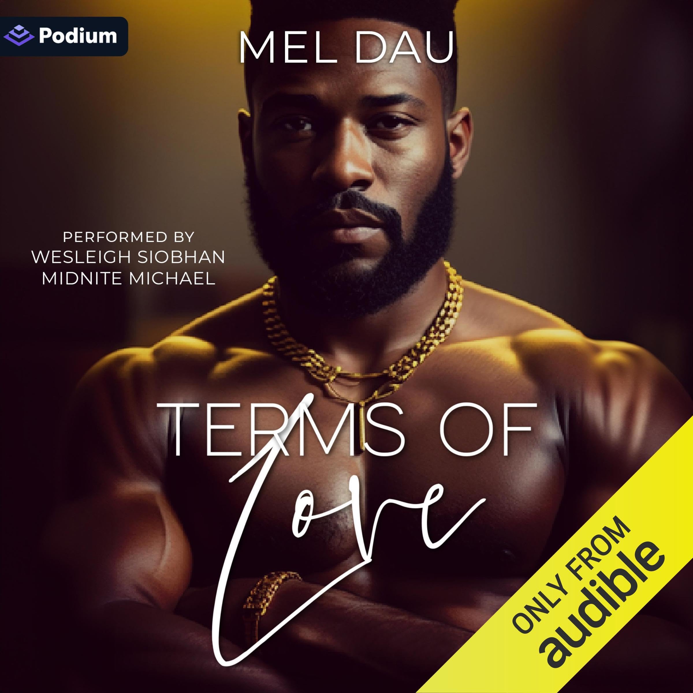 Cover art for Terms of Love