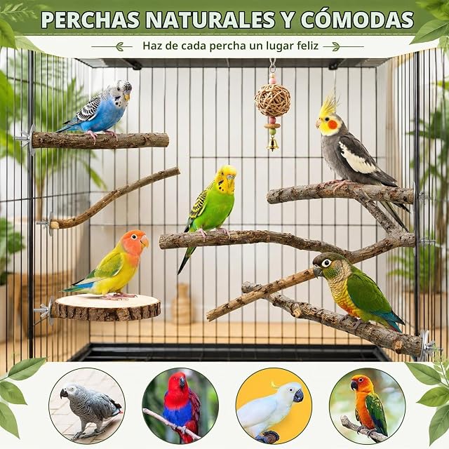 Foto 6 de 7 de QingWing 12 Piezas Percha de Madera para Pájaros Periquitos con Tornillos