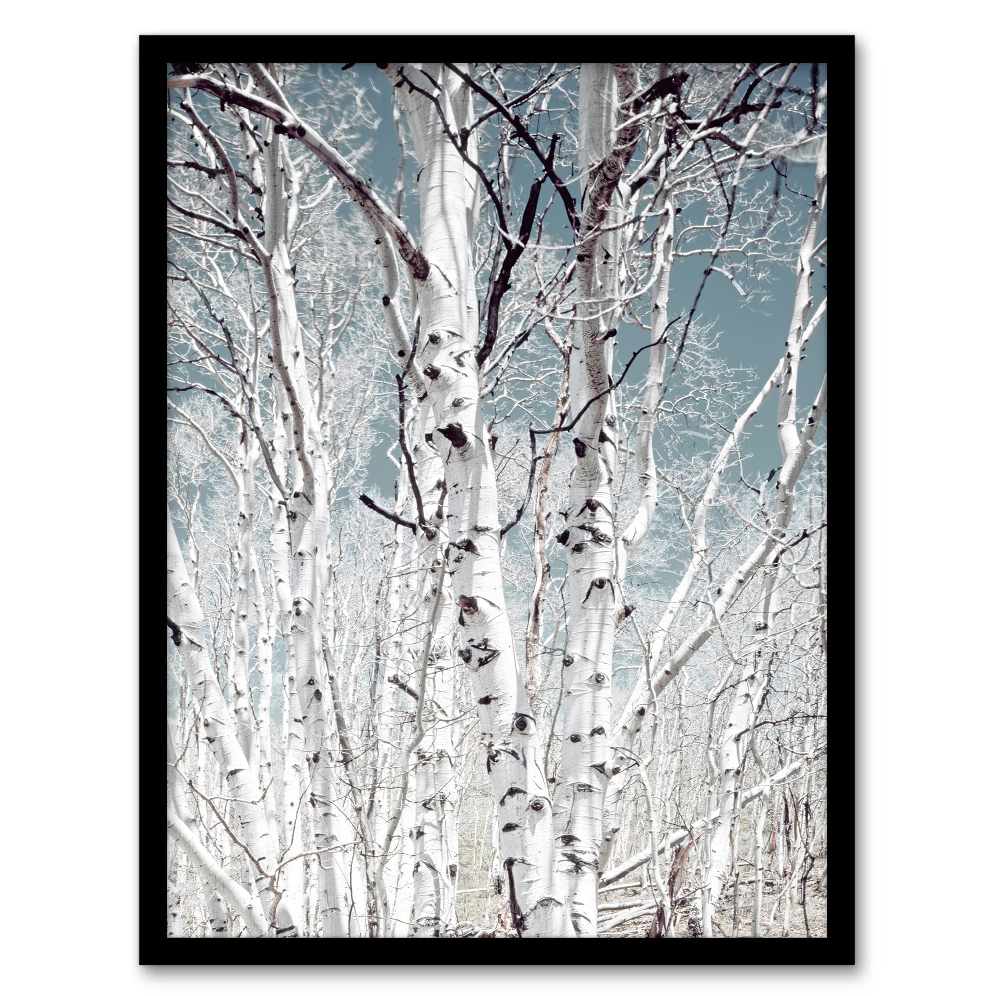 Artery8 Carol M Highsmith Birch Trees in Utah Photograph Artwork Framed A3 Wall Art Print