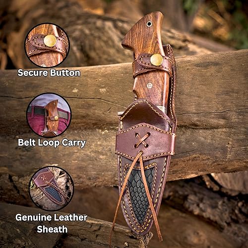 Miniatura 4 de STAGBRIDGE Cuchillo de caza de Damasco hecho a mano con vaina. Cuchillo de hoja fija de 10 pulgadas con mango de palisandro utilizado para caza,